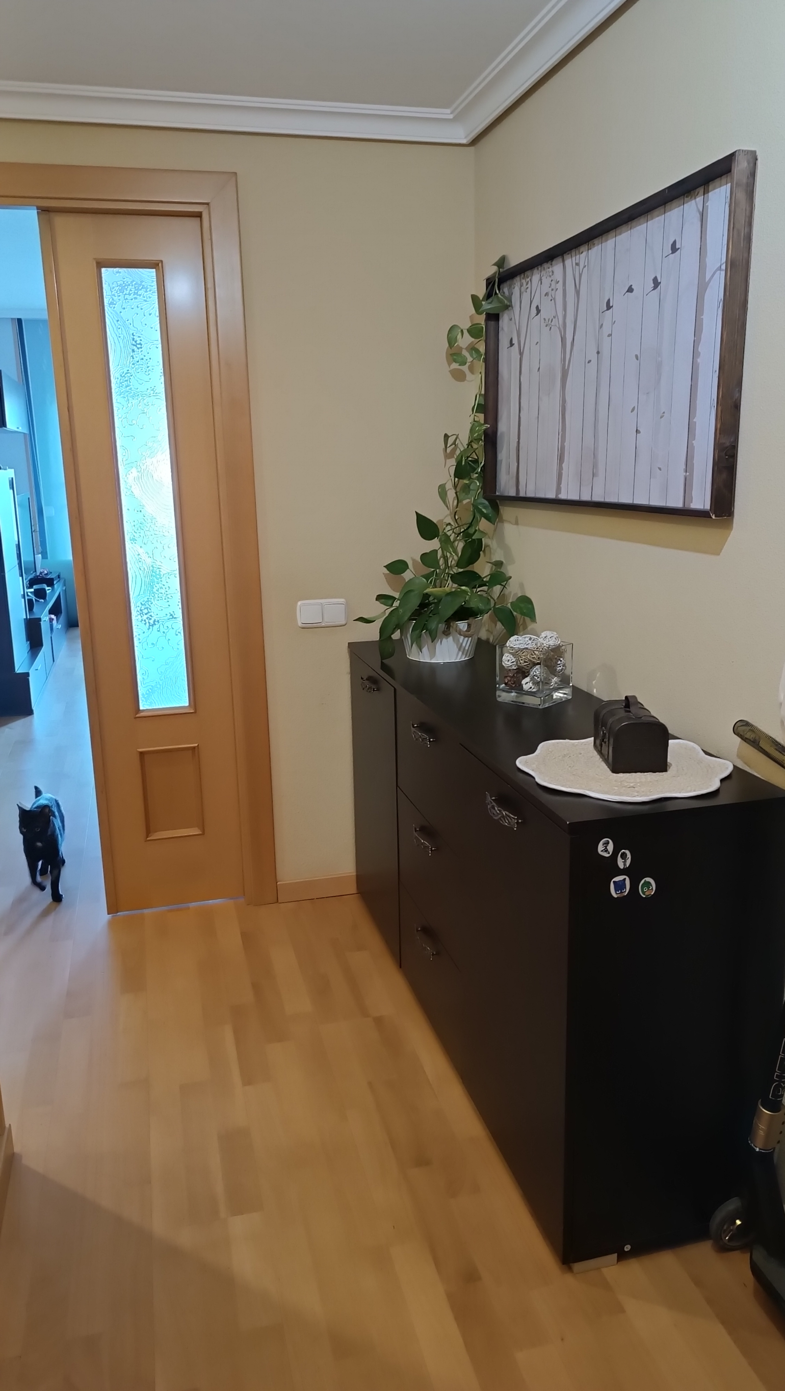 Spacious apartment with views, well connected to Barcelona and the coasts