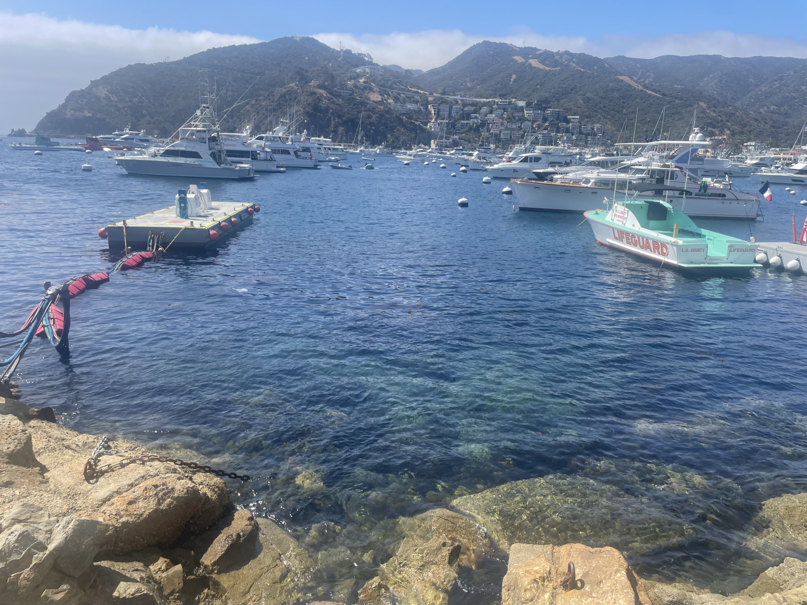 Insel Catalina! Sie können hier eine Fähre von San Pedro oder Long Beach nehmen. Es ist ein Kurzurla ...