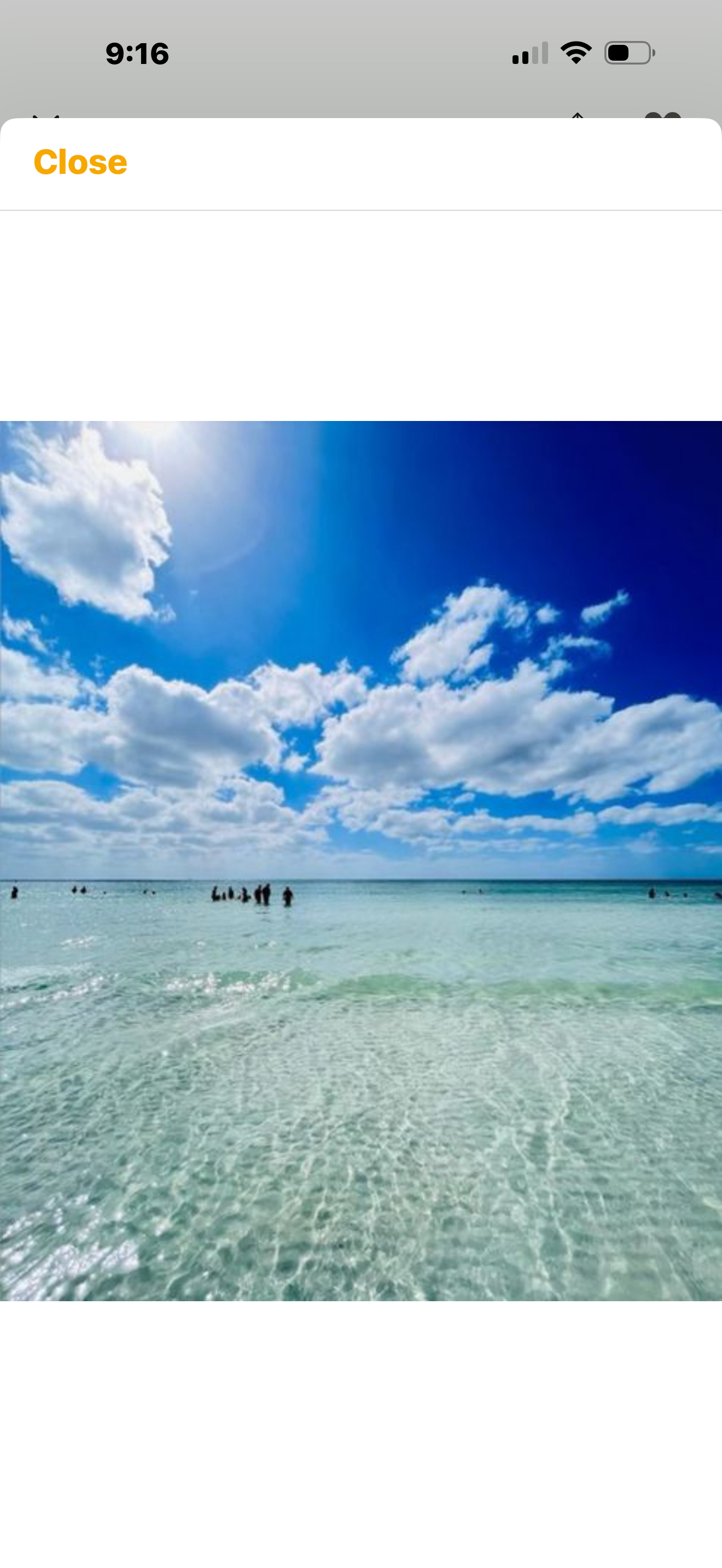 Coastal Oasis – Minuten bis Siesta Key, Florida!