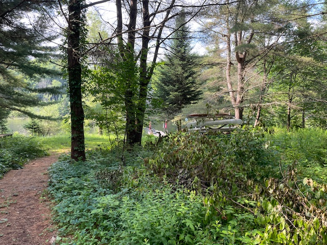 Rancho del Rio