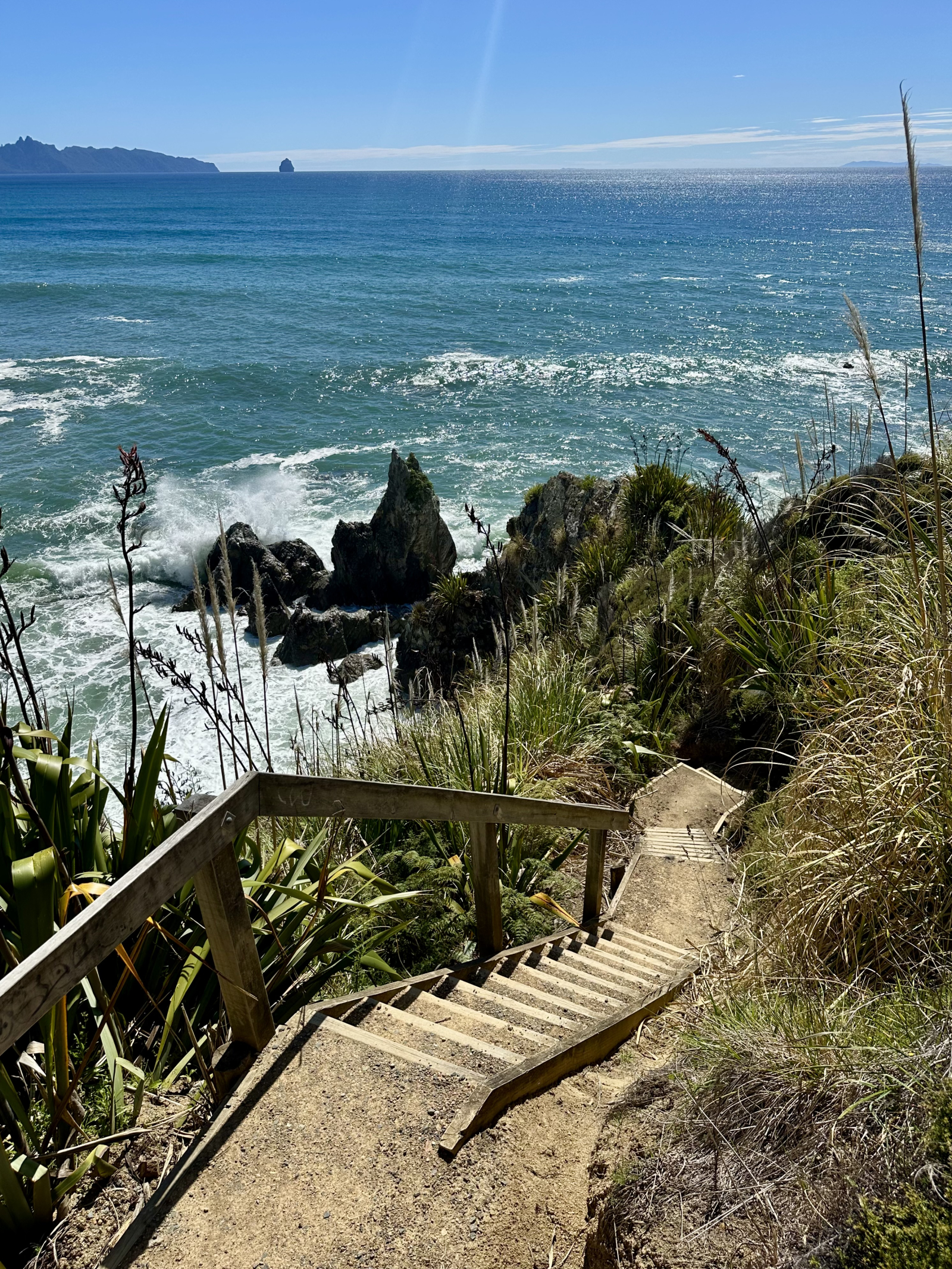 The Mangawhai Heads coastal walks, part of the te Araroa Trail. You’ll discover stunning views, nati ...