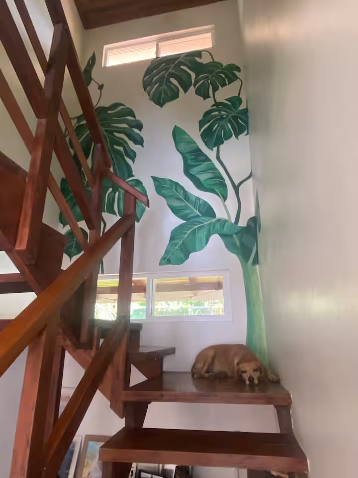 Casa Lapa | Giungla e Vita in Oceano. Super confortevole due camere da letto in un quartiere tranquillo e recintato, vicino alla famosa spiaggia del surf, alla giungla e situata in posizione centrale per tutte le tue avventure!