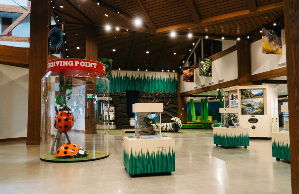 Butterfly biosphere.