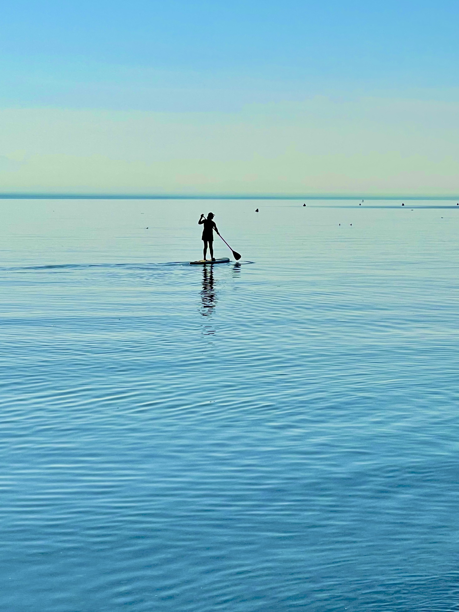 Two paddleboards available.