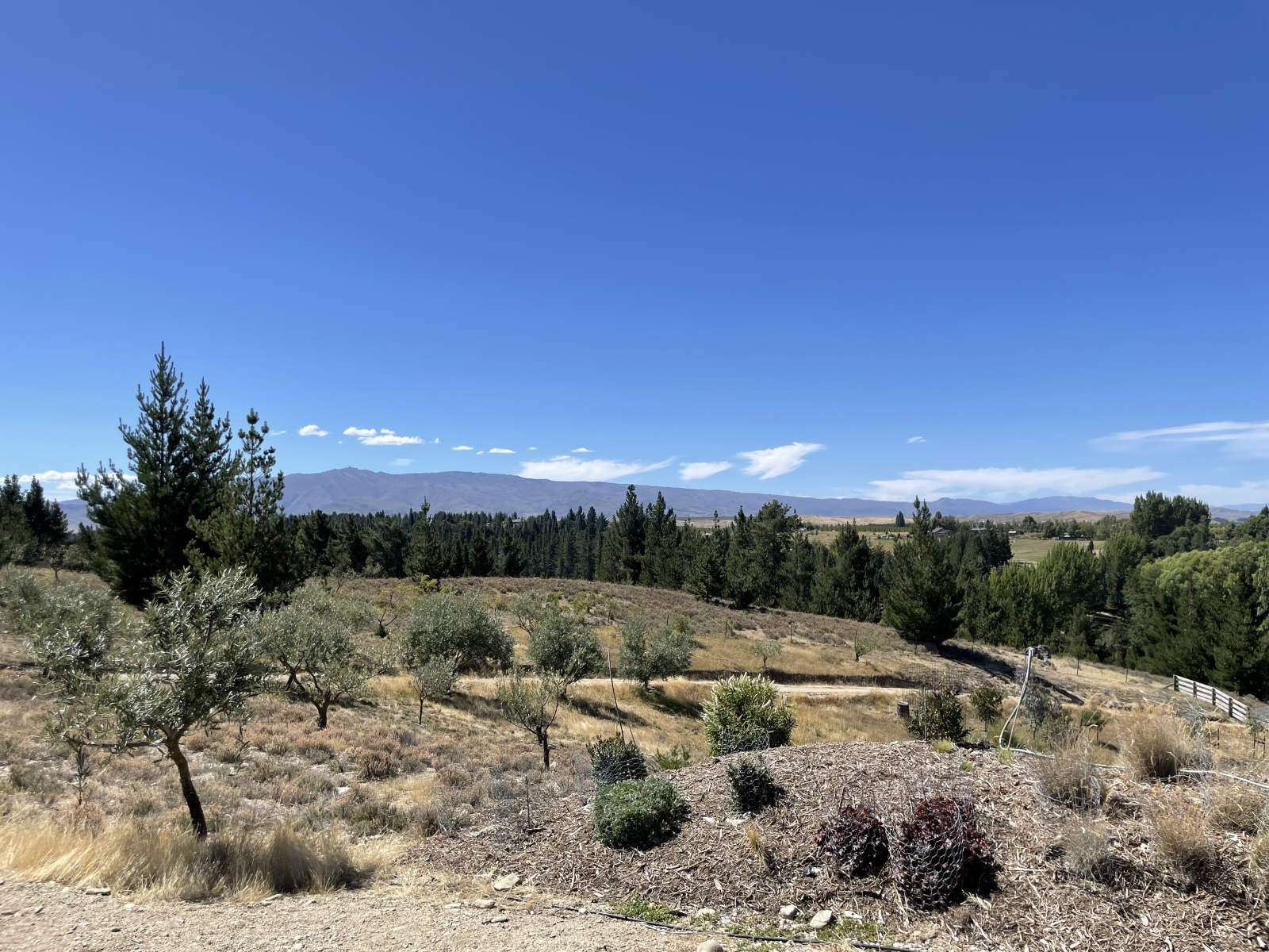 Oben angekommen erwarten Sie herrliche Aussichten.