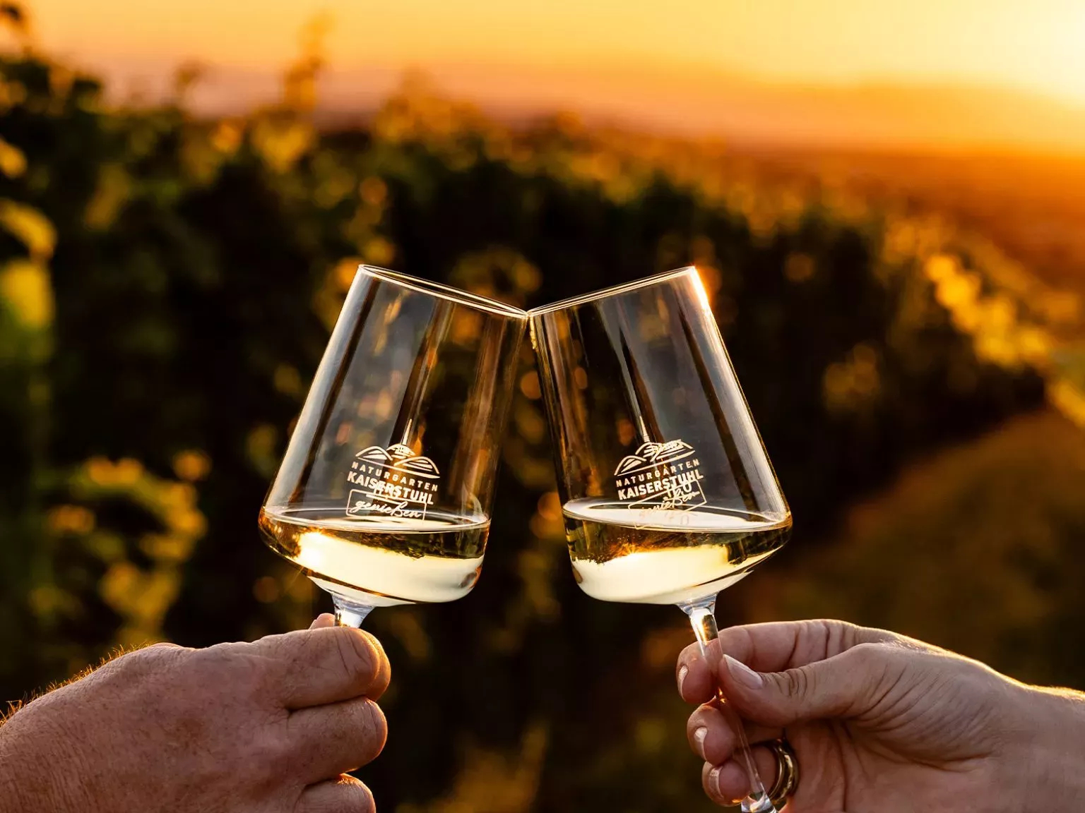 Zwischen dem Schwarzwald und den Weinbergen des Elsass