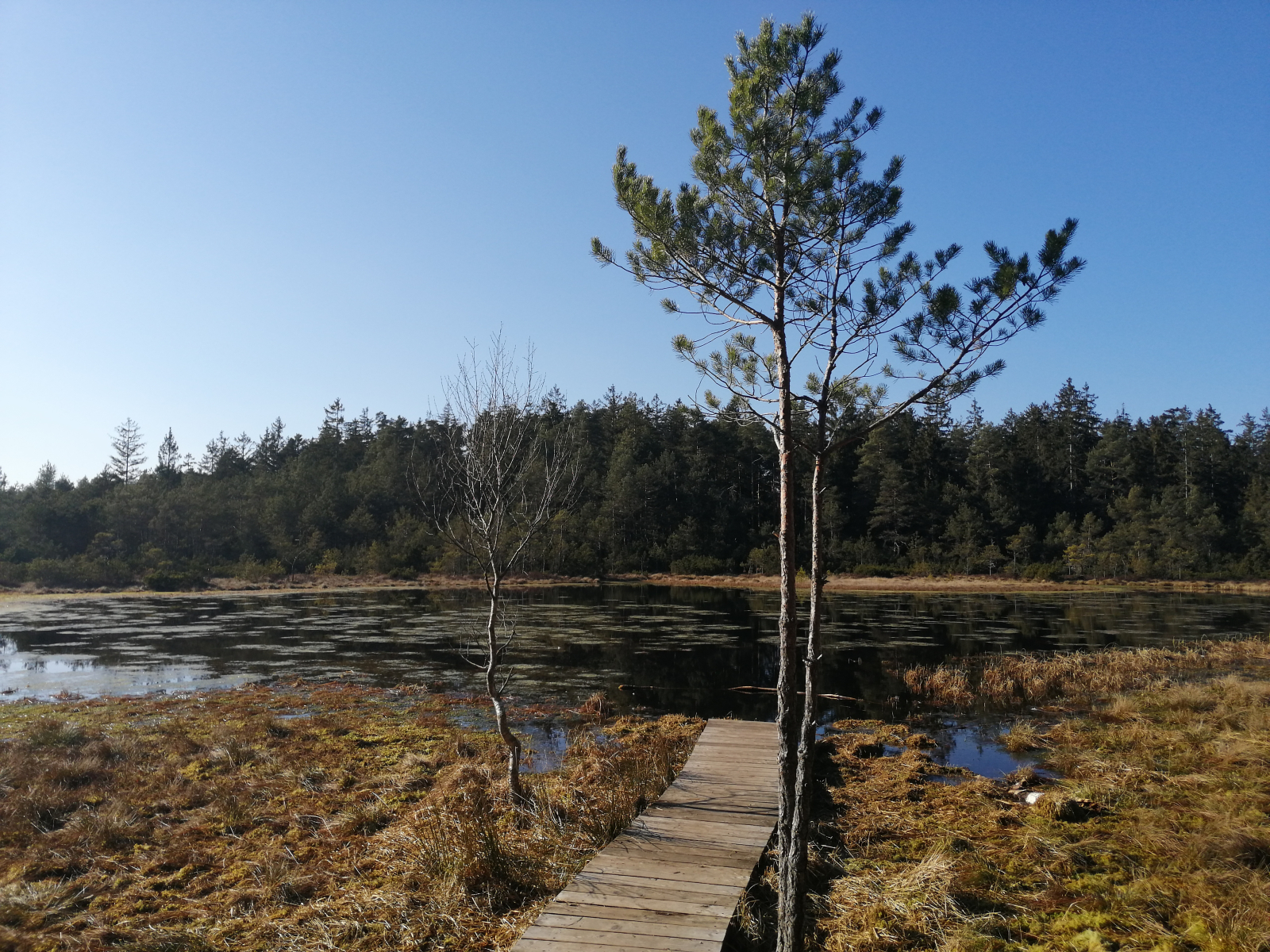 "Grundloser See" in de heide