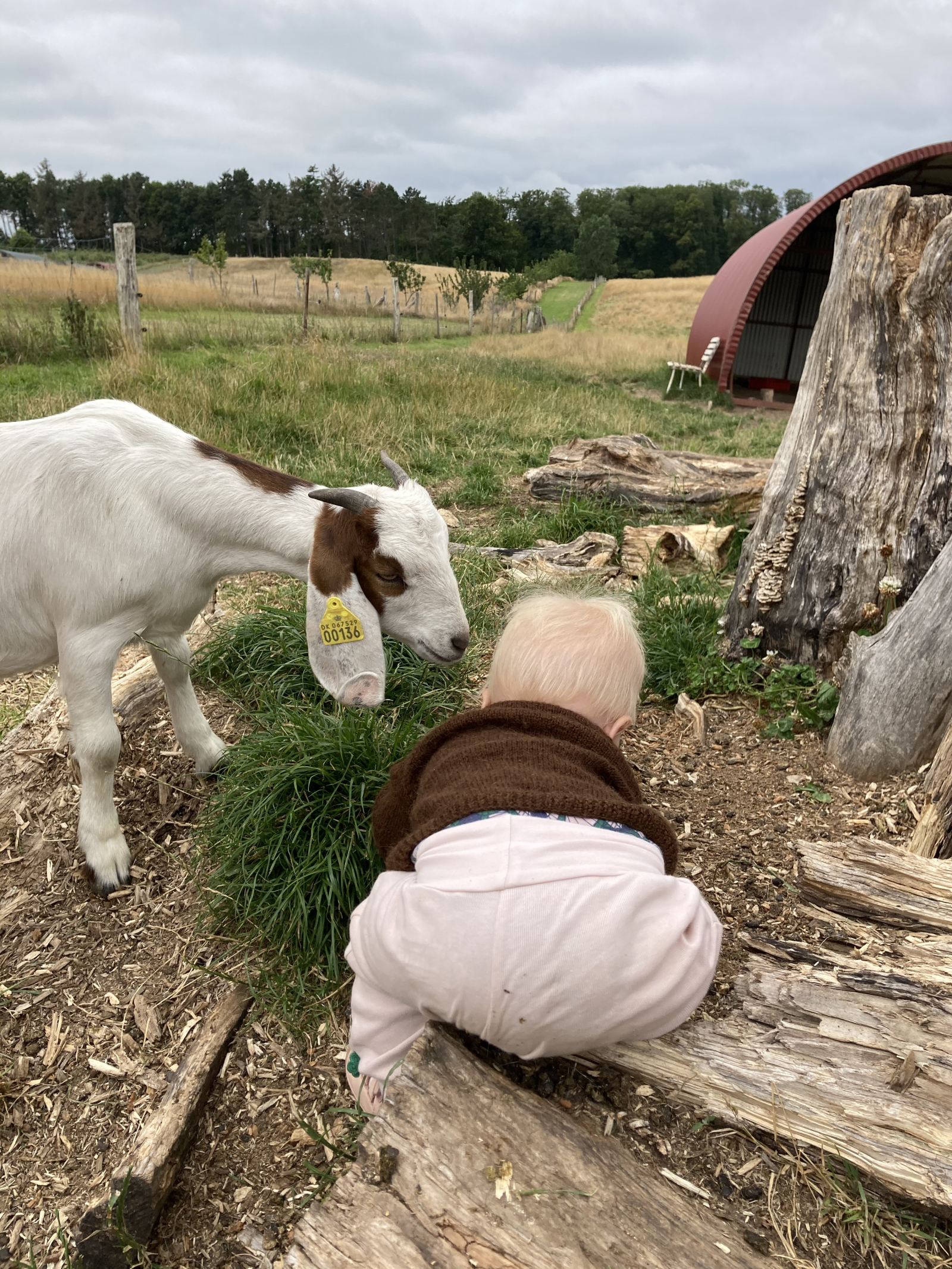 La tienda de regalos Café y el parque infantil llamado Nygaarden.