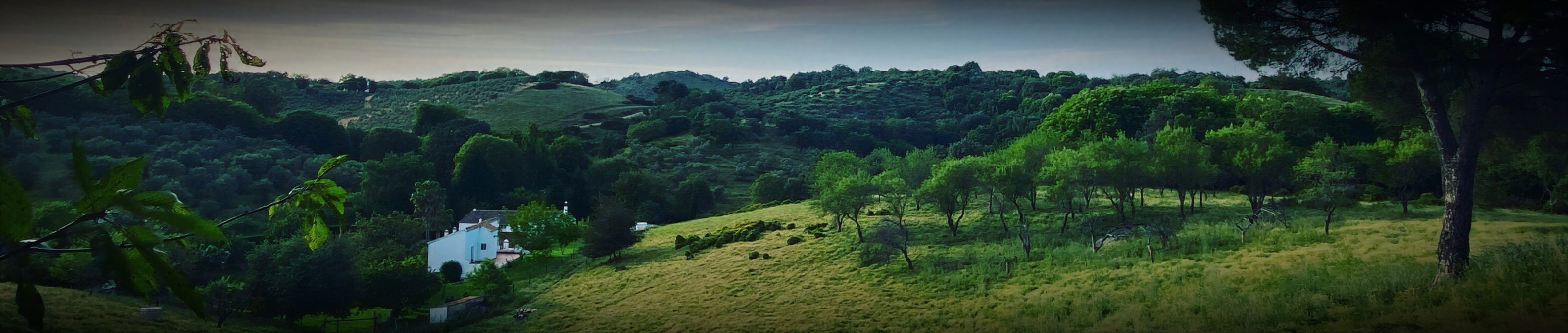 Country house in Andalusia