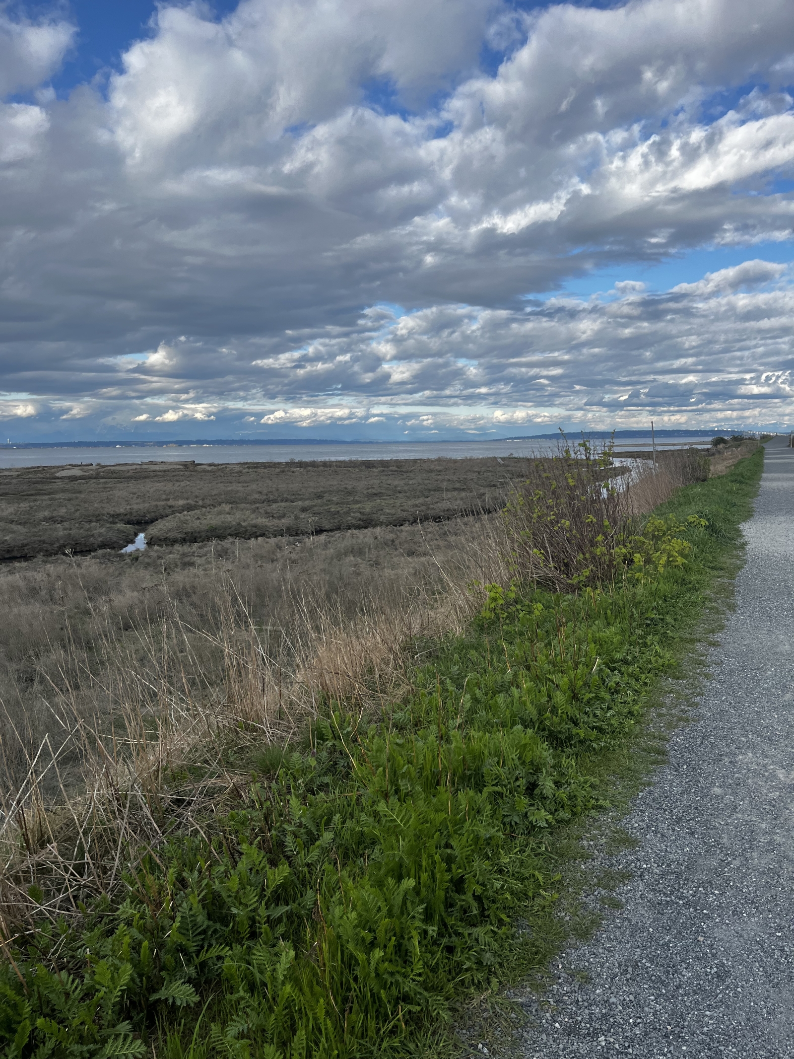 Prachtige wandelbare 2-slaapkamer APMT - dicht bij Vancouver, stranden, parken, skiën, openbaar vervoer!