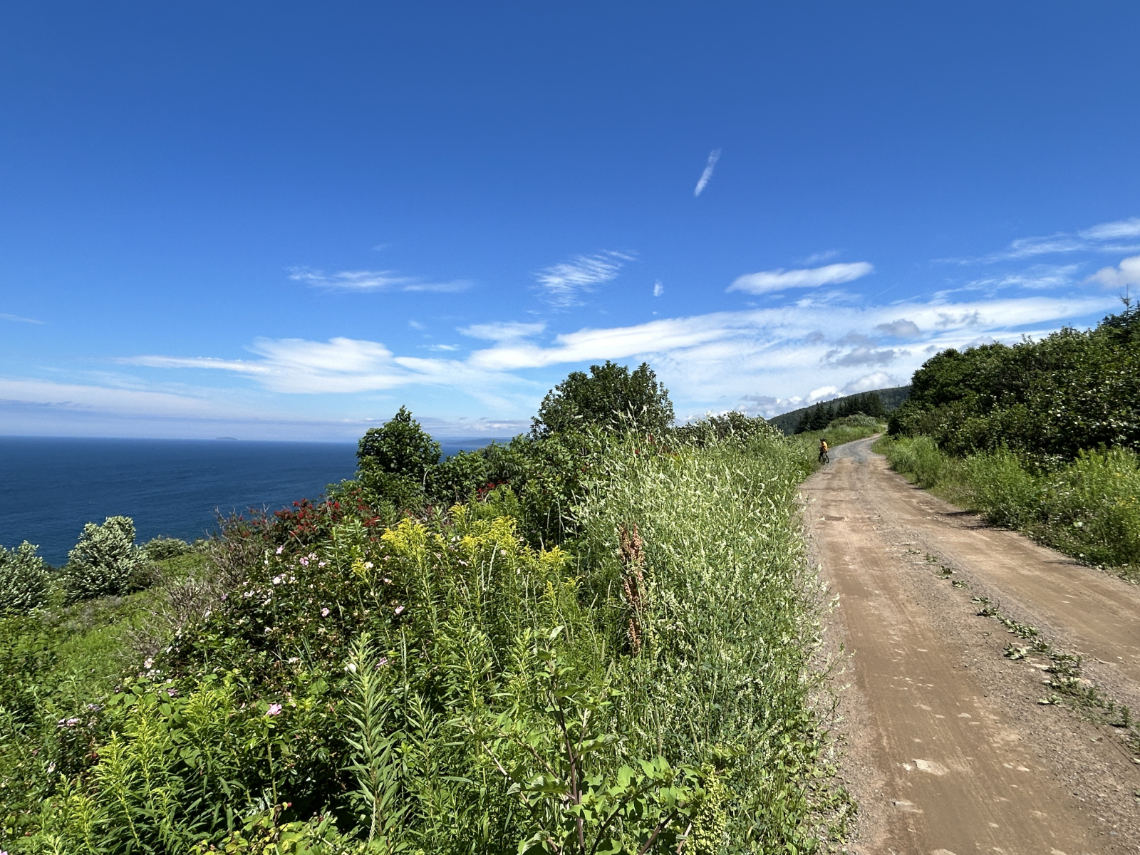 An 11 kilometre dirt road begins 700 metres from our driveway on the paved Broad Cove Banks Road, th ...