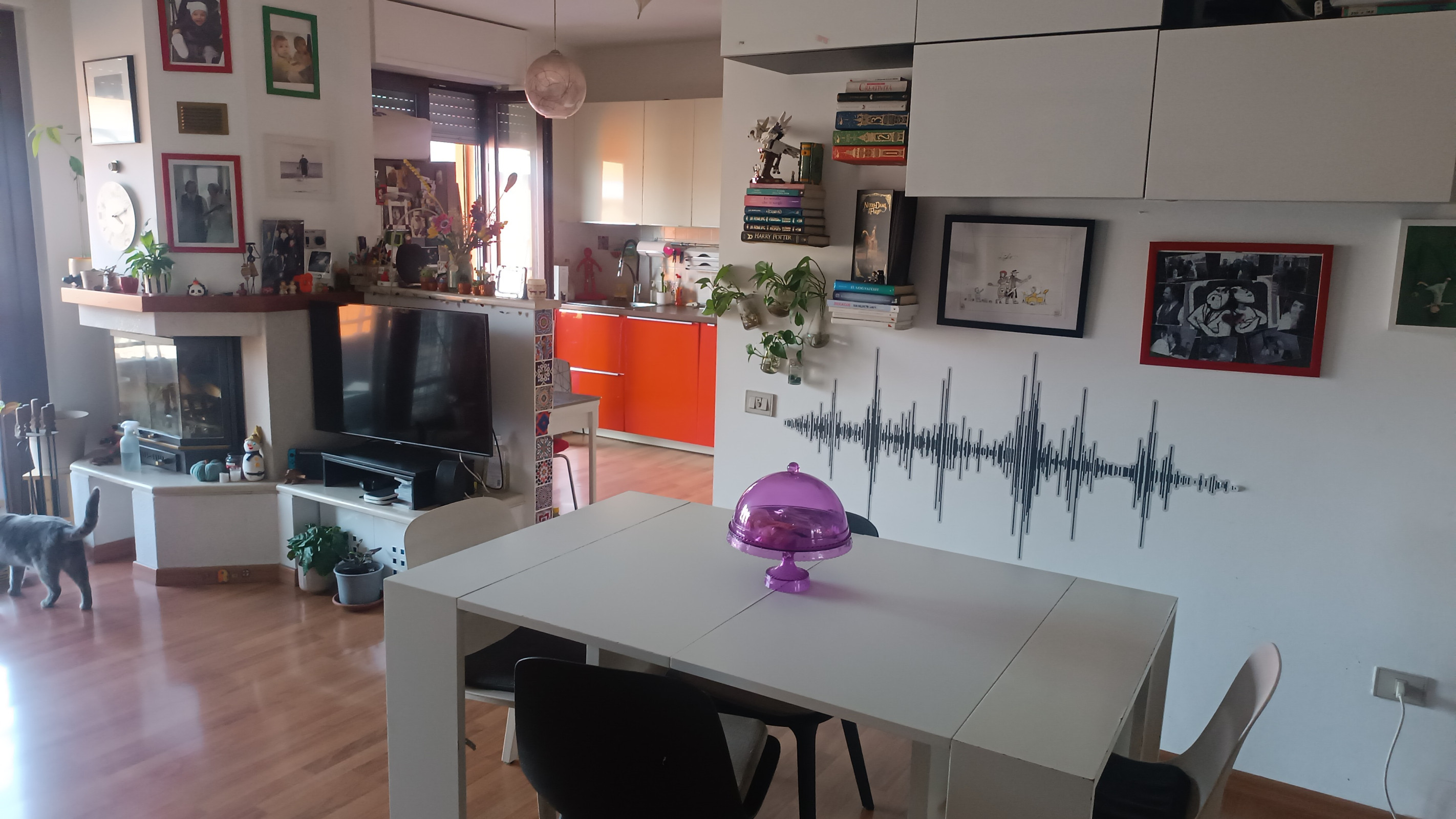 La maison du Fluffy