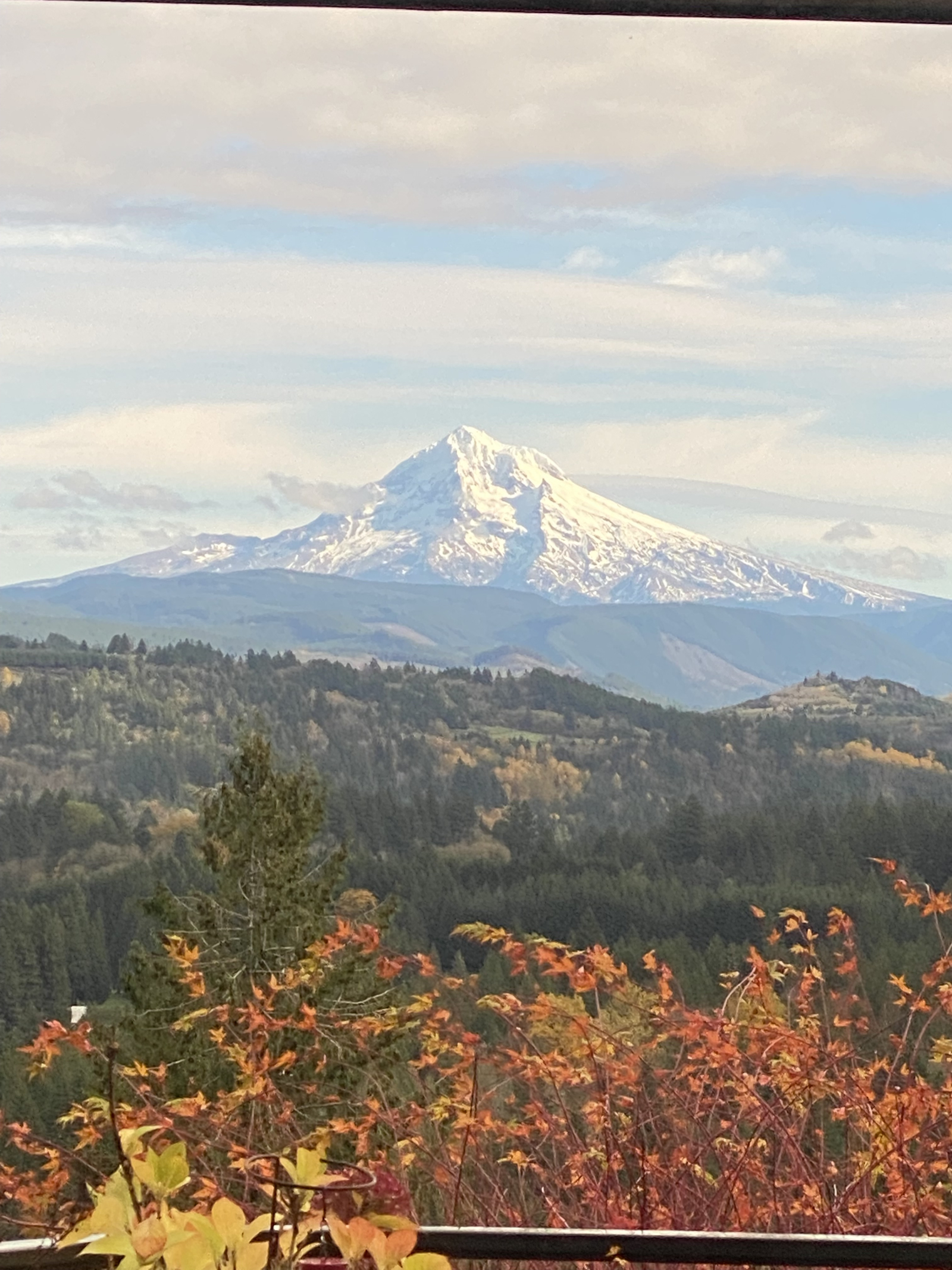 Resort-achtige oase in Oregon, huis met 3 slaapkamers op het terrein, dichtbij Mt Hood en Portland