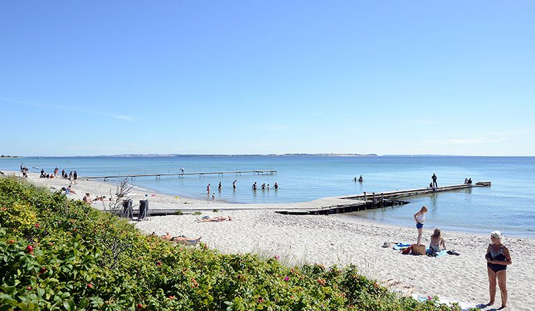 The beach.