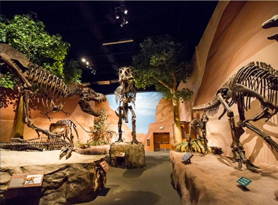Dino museum