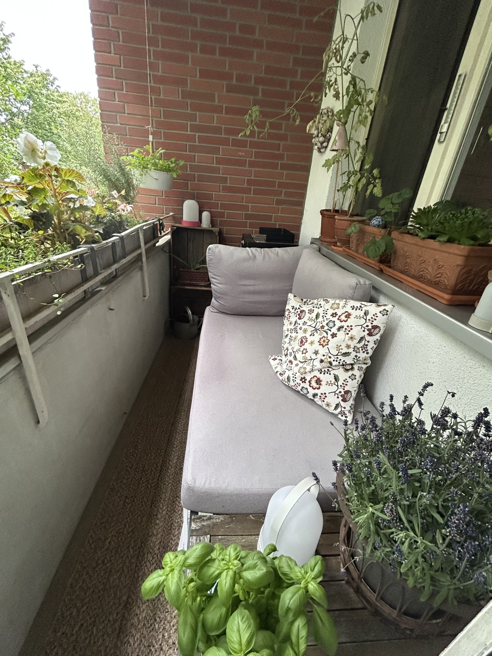 Chill Arena on the balcony