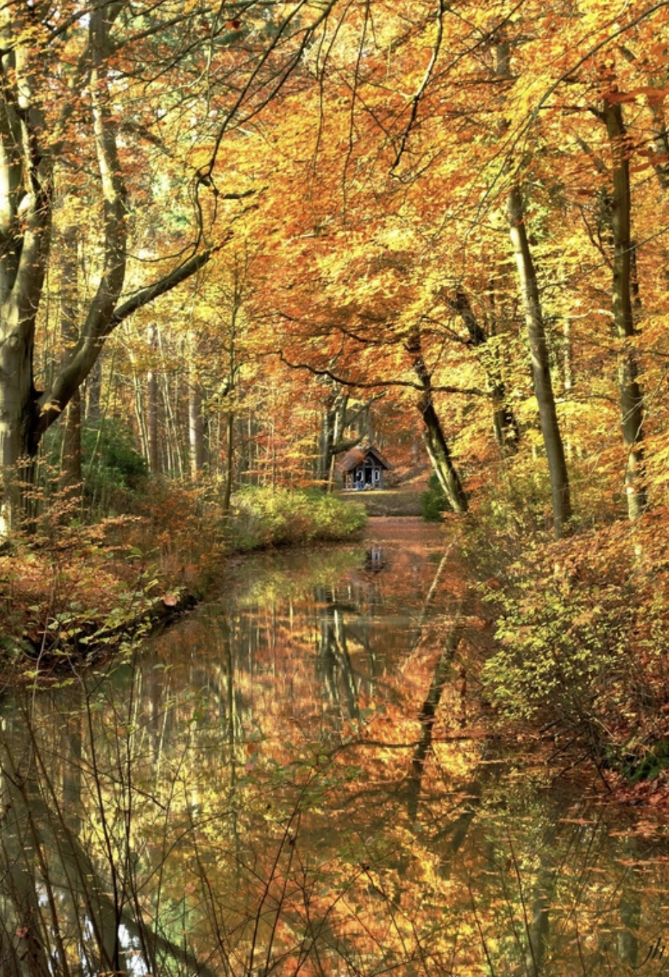 Landgoed Elswout is gehuld in herfsttinten. 30 min op de fiets, met de auto 20 min.