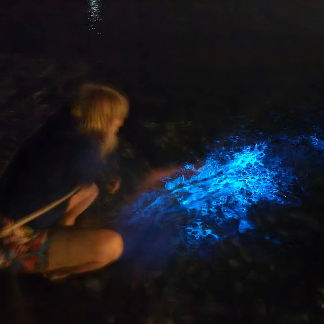 Sea Sparkle in Katwijk