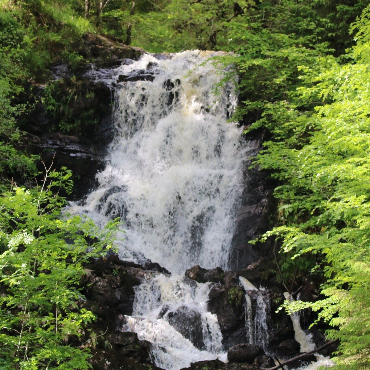 Watervalpad, een van de vele paden vanuit Aberfoyle