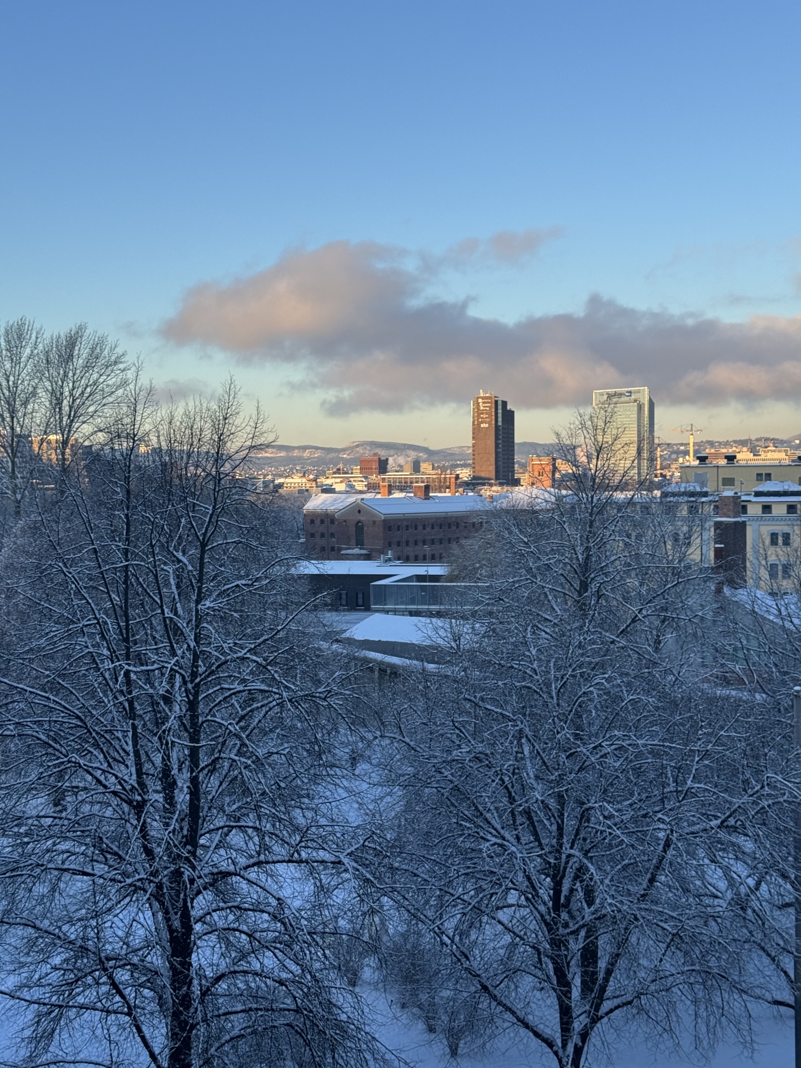 Gemütliches Apartment und atemberaubende Aussicht in der Altstadt von Oslo