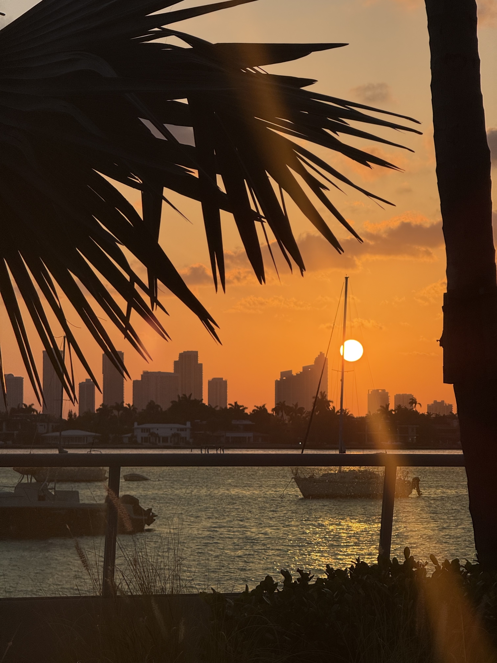 Sunny Artist’s Home in South Beach · Sunrise Balcony & Waterfront Pools