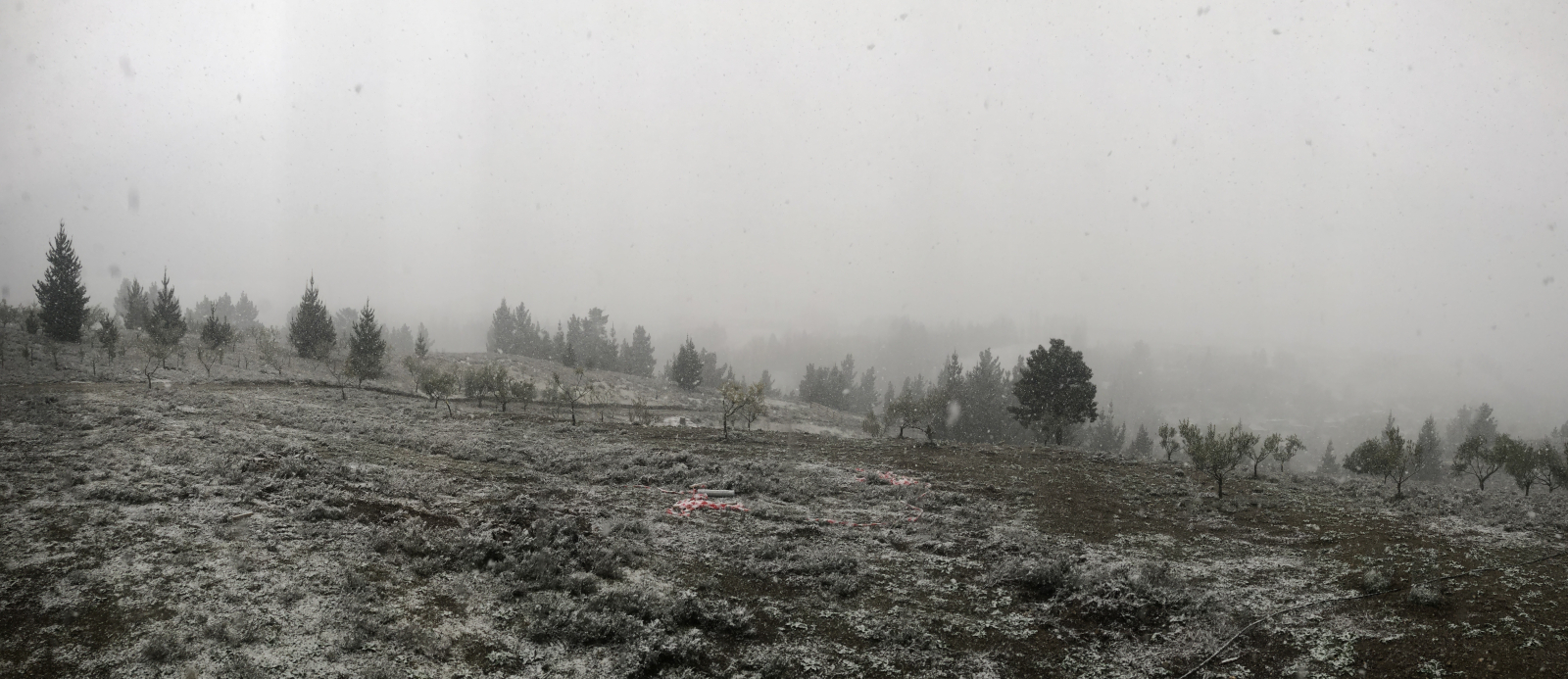 Manchmal sogar Schnee