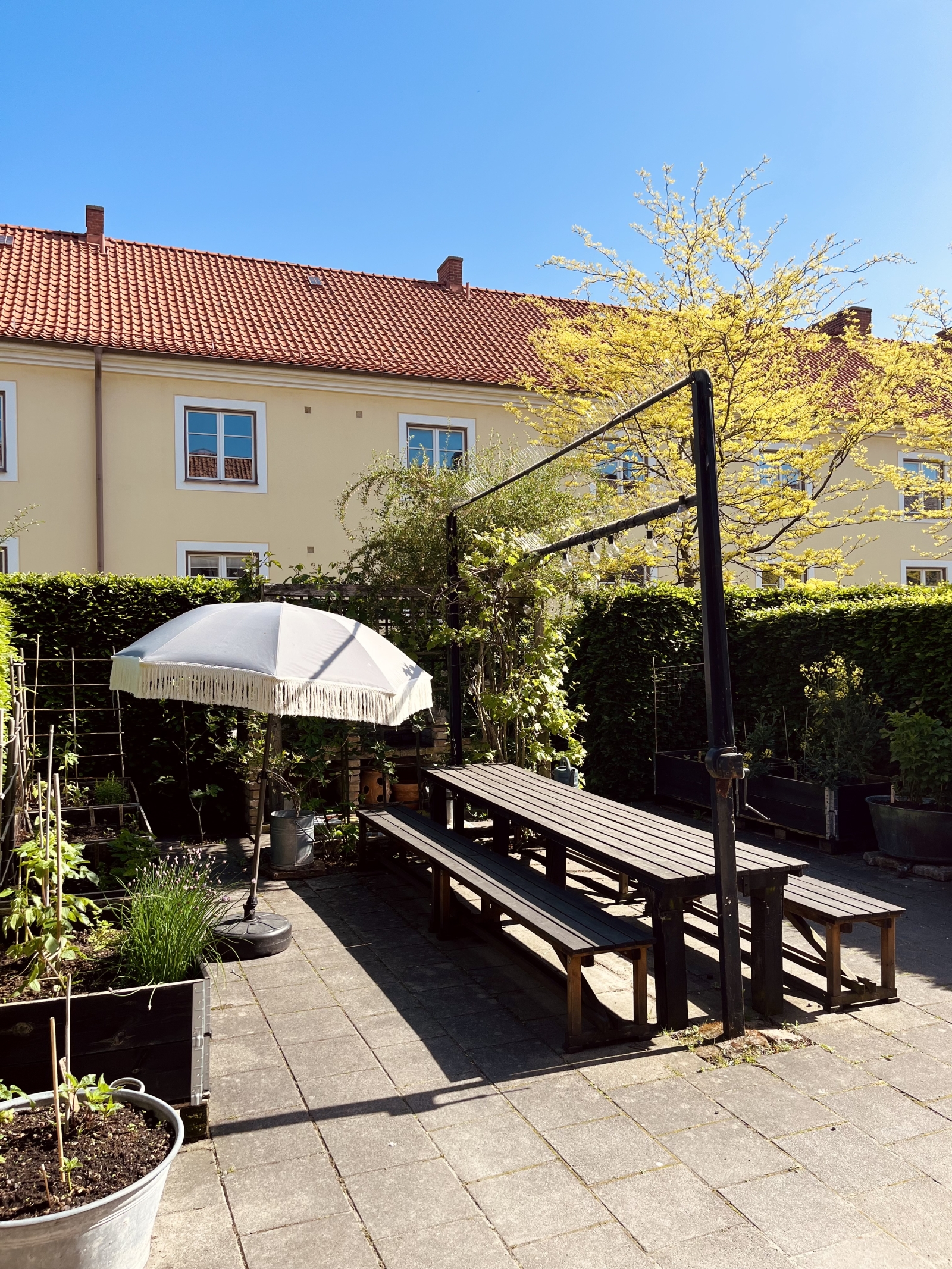 Gemeinschaftsgarten