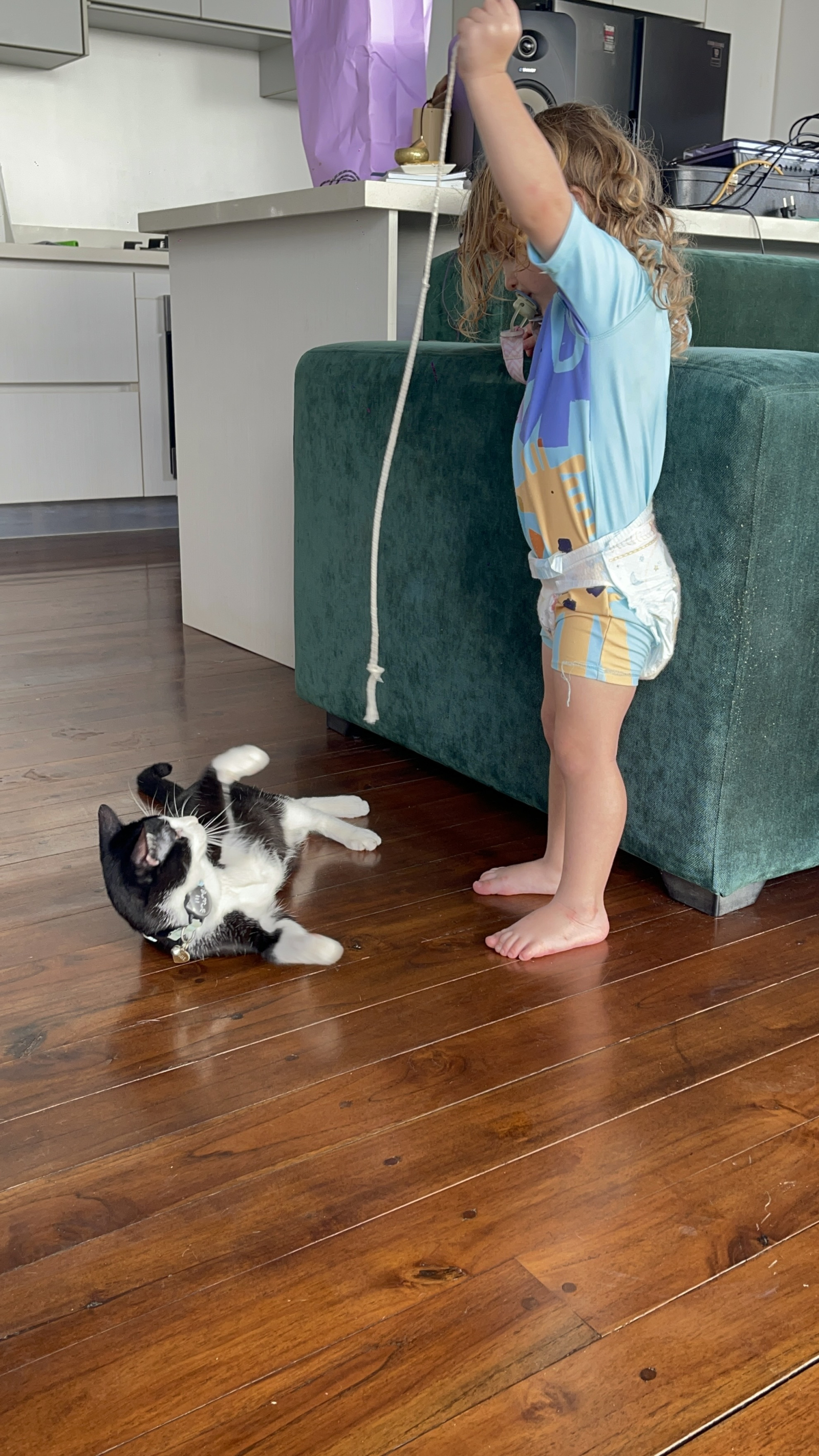 Les encanta jugar entre ellos☺️👼🐈 ⬛