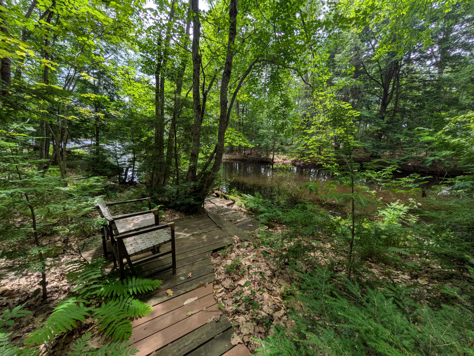 Un altro posto dove sedersi tranquillamente e godersi la natura
