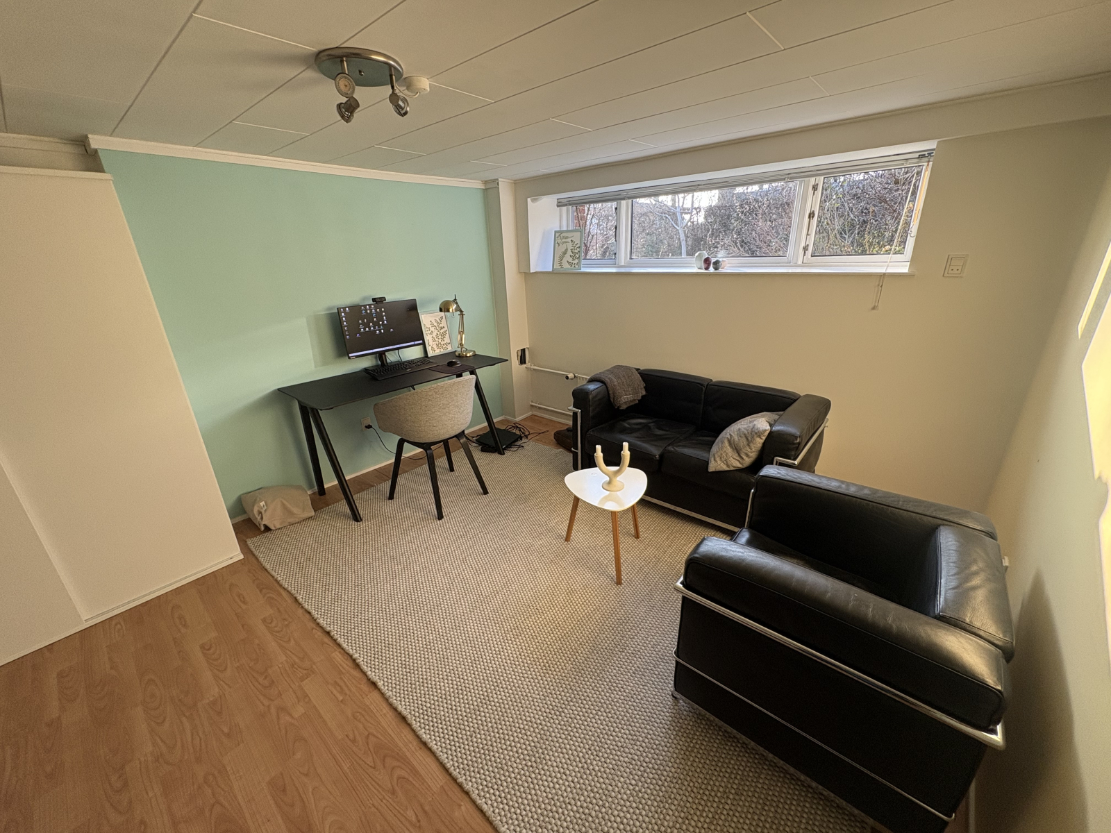 Basement: room 2 with wardrobe, desk, and living area.