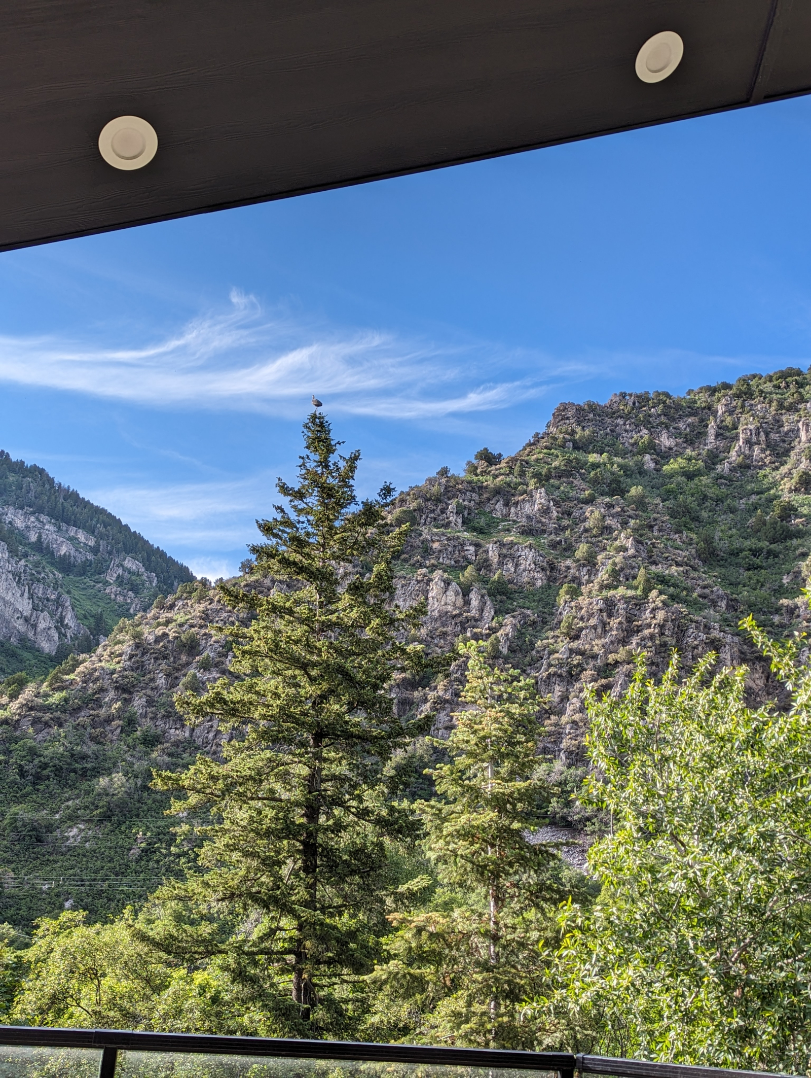 The view to the North from our covered deck.