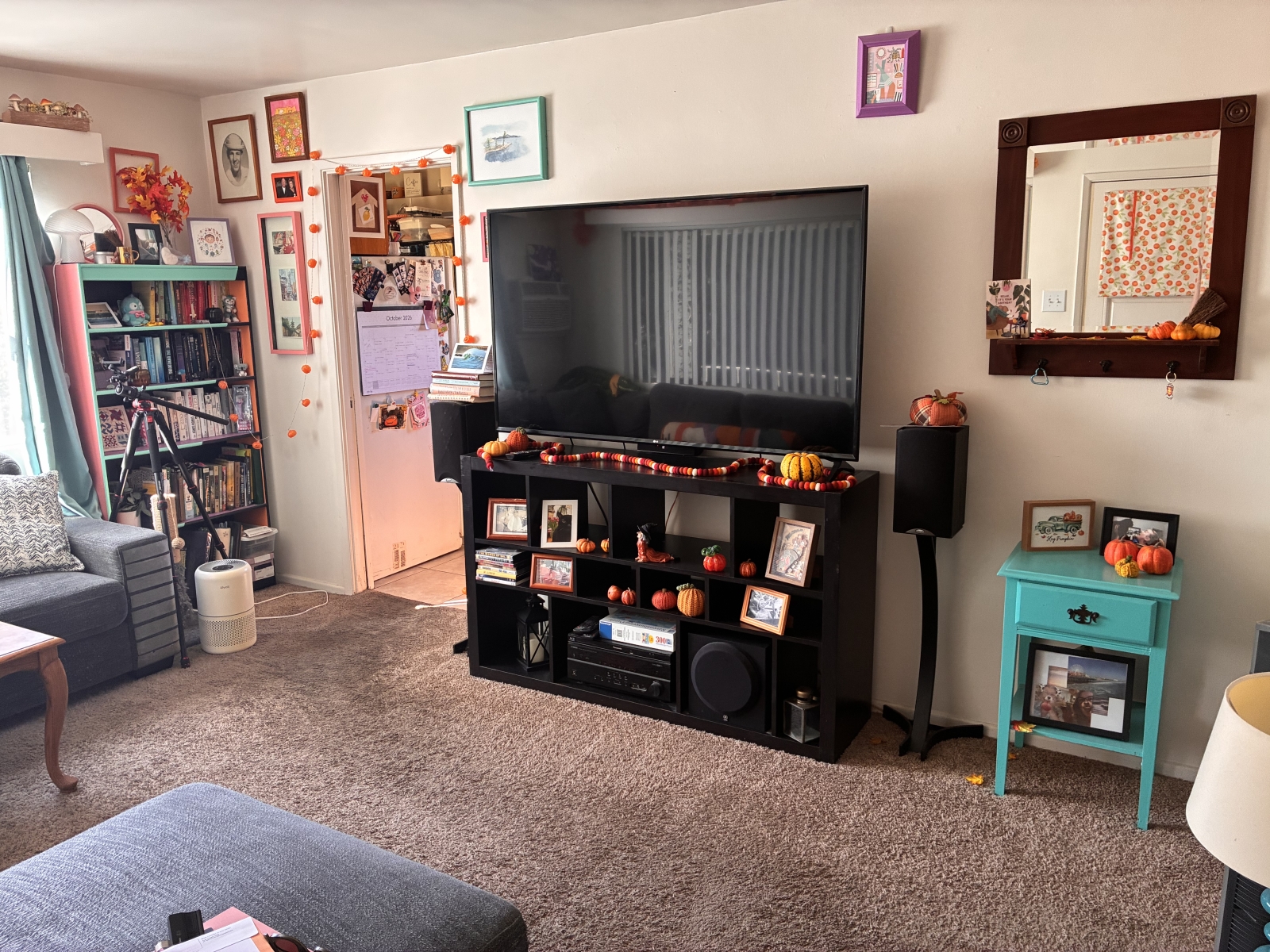 An Apt 10 Minutes from Disneyland and Close to Cute Coffee Shops??