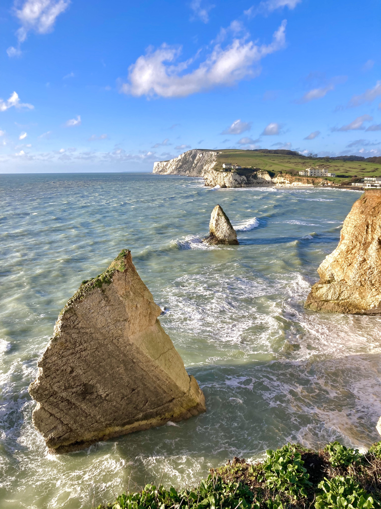 Freshwater Bay a dieci minuti di macchina e 45 minuti a piedi lungo il fiume