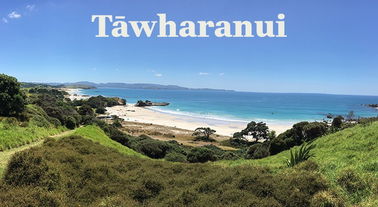 Familienhaus im friedlichen Gebiet von Wainui