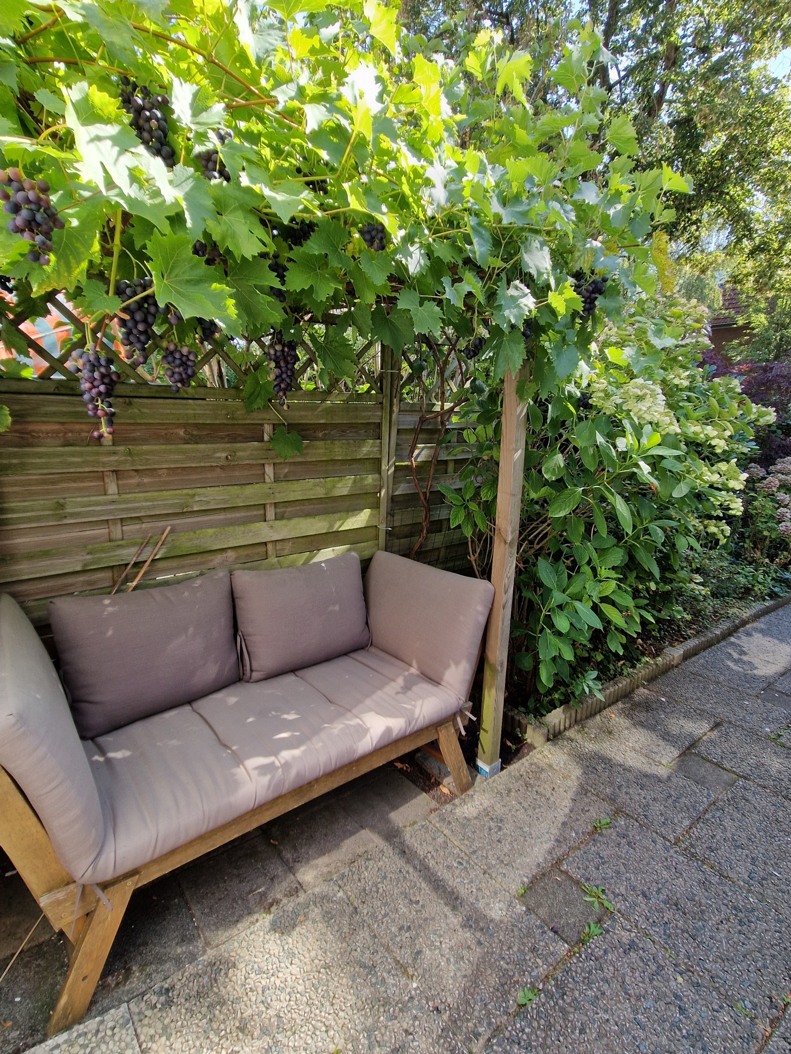 A house with a garden in Dordrecht - the oldest city of Holland. And the Biesbosch, the National Park.