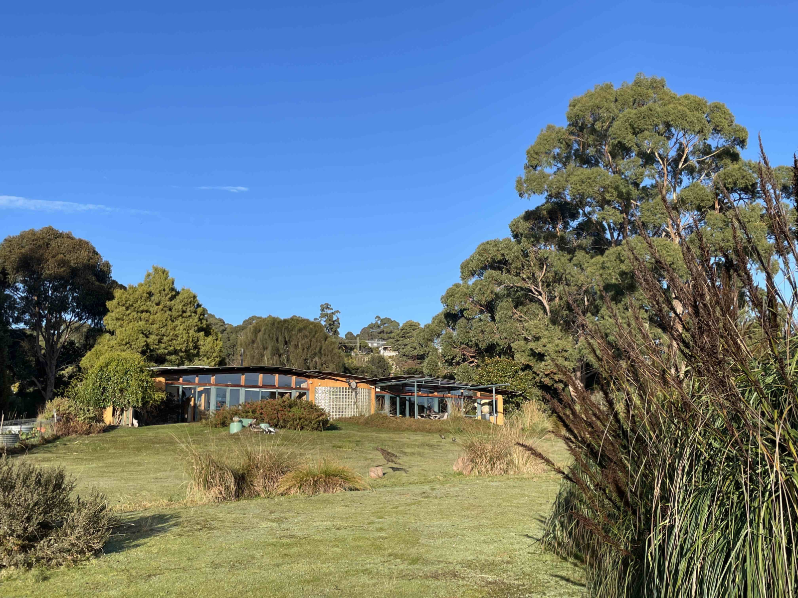 La maison est entourée d’un grand jardin de pelouses et de plantes indigènes de Tasmanie