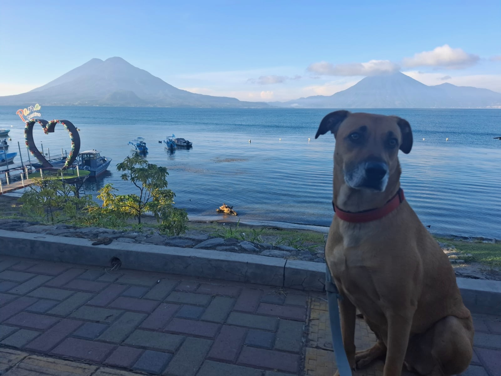 Garden Casita with artistic flare- Hideaway in Central Panajachel for dog lovers