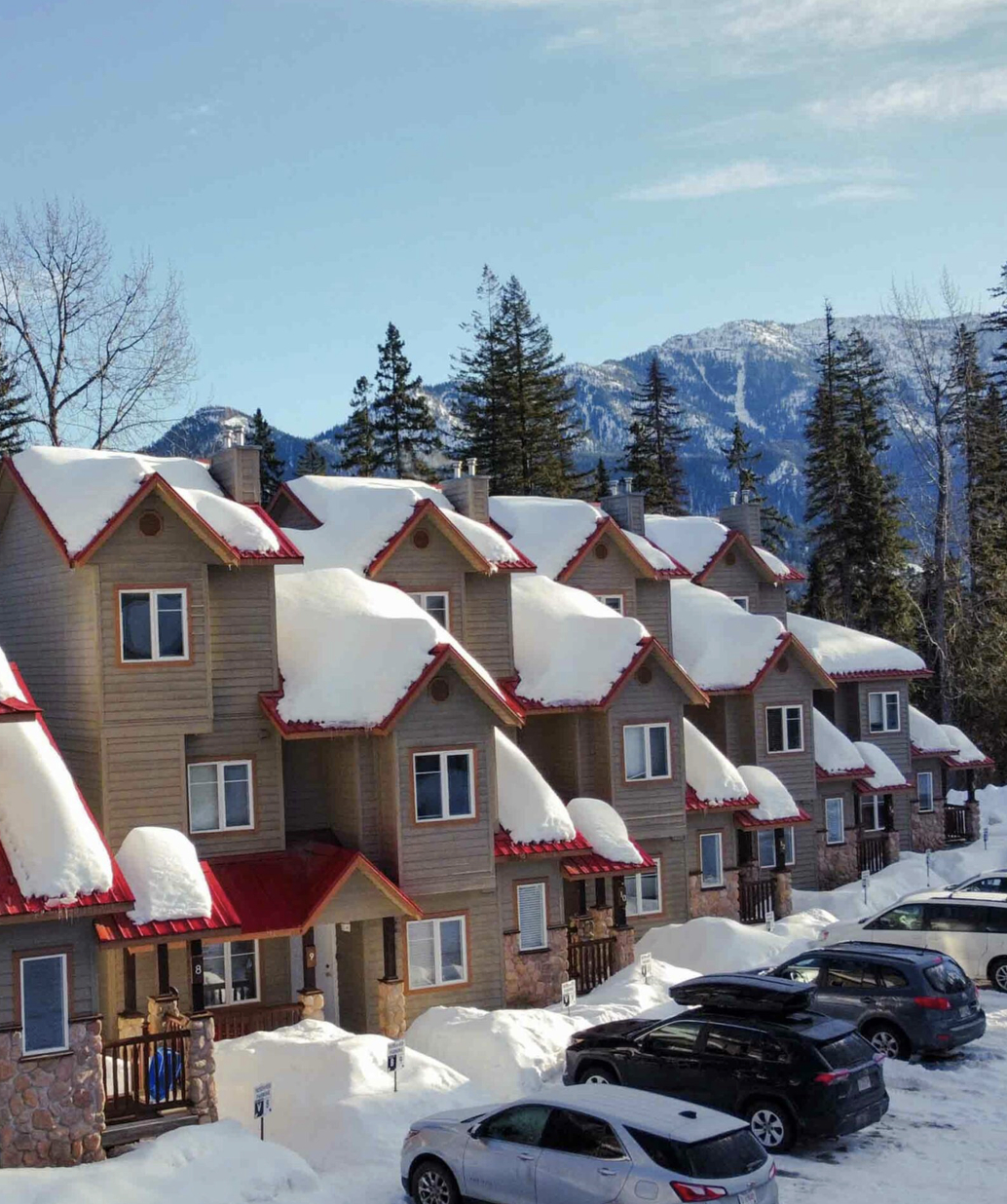 Cozy Mountain Retreat | | Ski, Golf, Bike, Hike & Explore