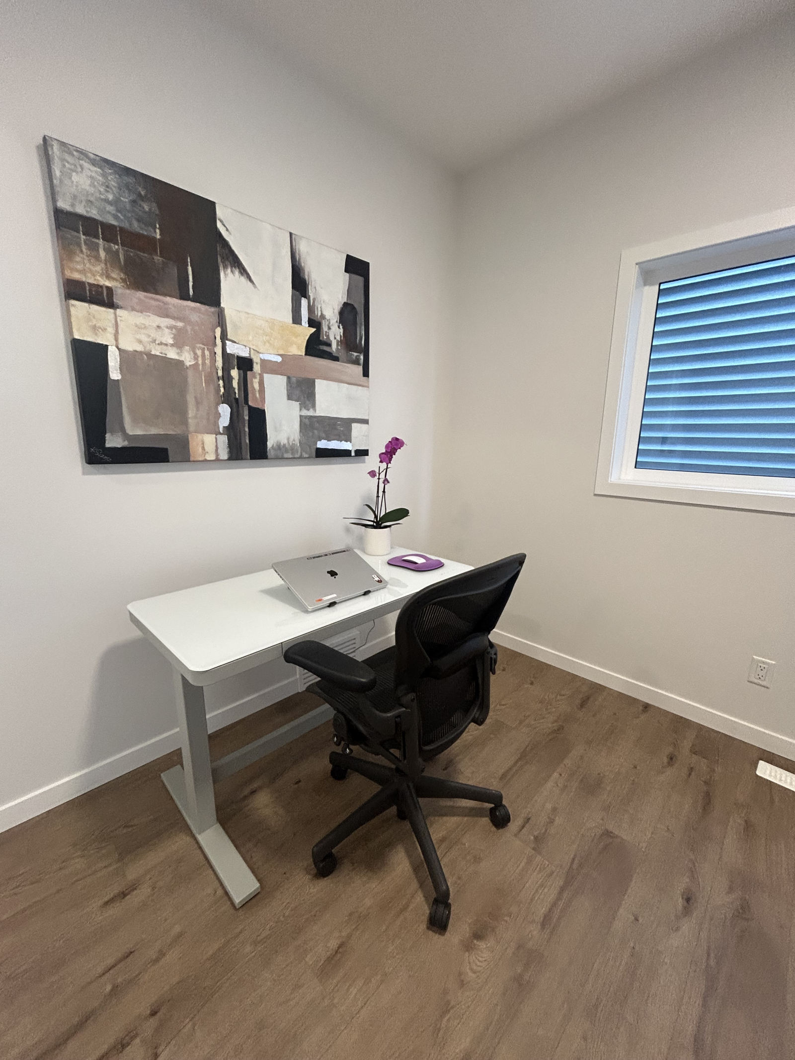 Open-concept work area with electric standing desk and ergonomic Herman Miller chair
