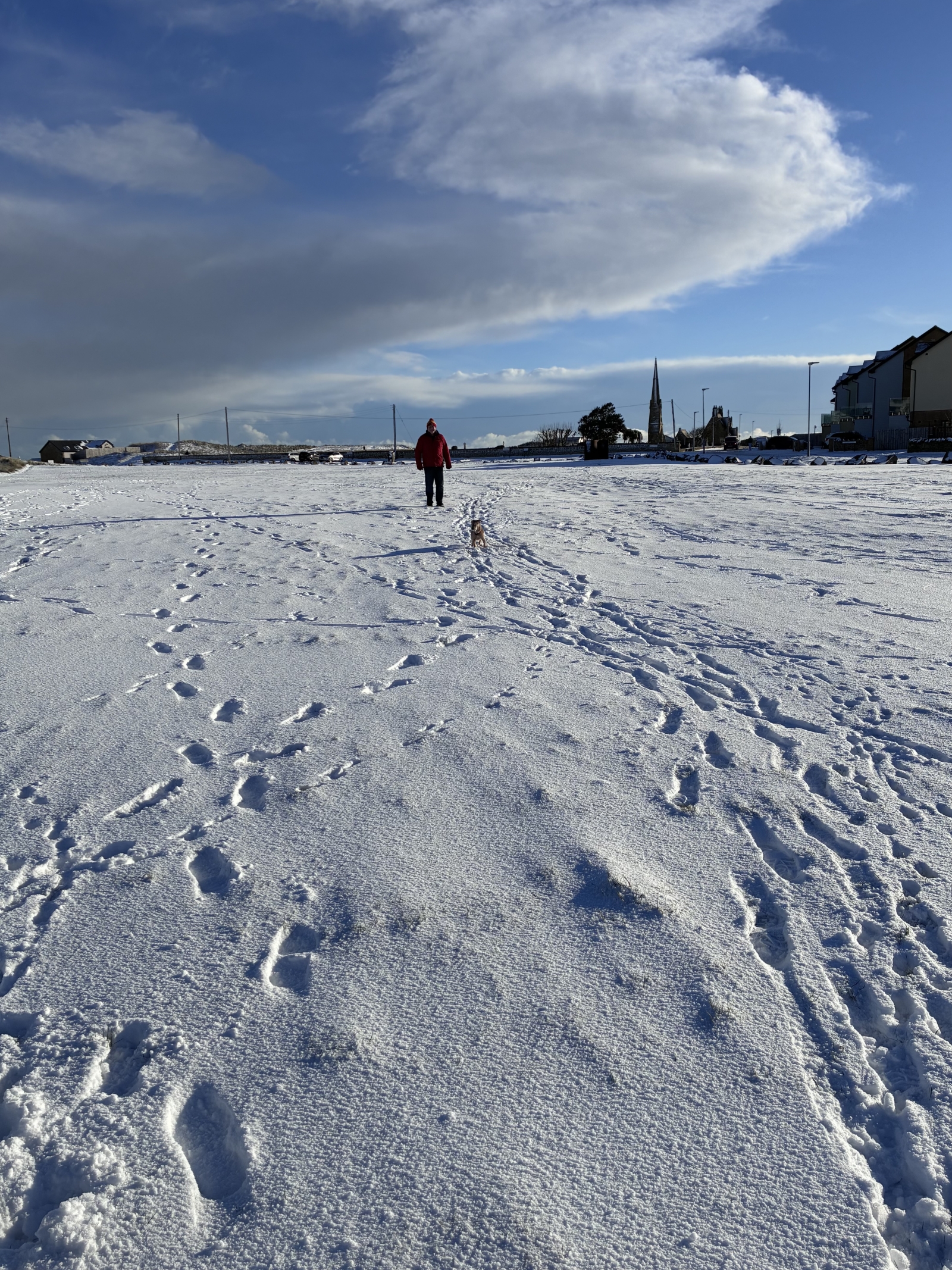 Il campo a 50 metri da casa nostra, nella neve. La neve è rara per Amble.
