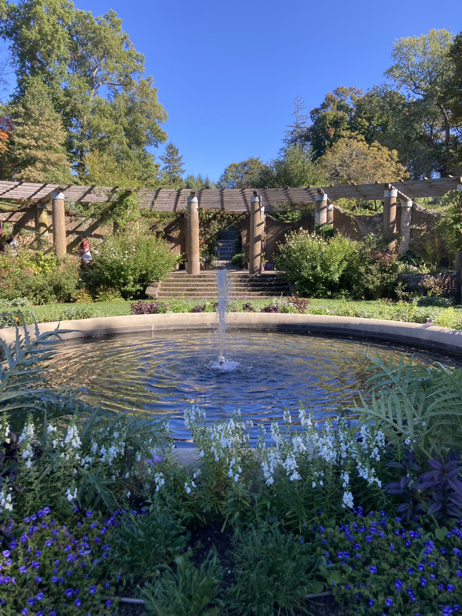 Castle Hill estate, propiedad de los Fideicomisarios de Reservas.