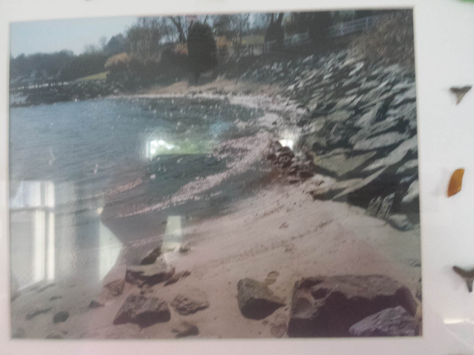 [Premium] Tracys Landing MD United States Chesapeake Bay in Maryland