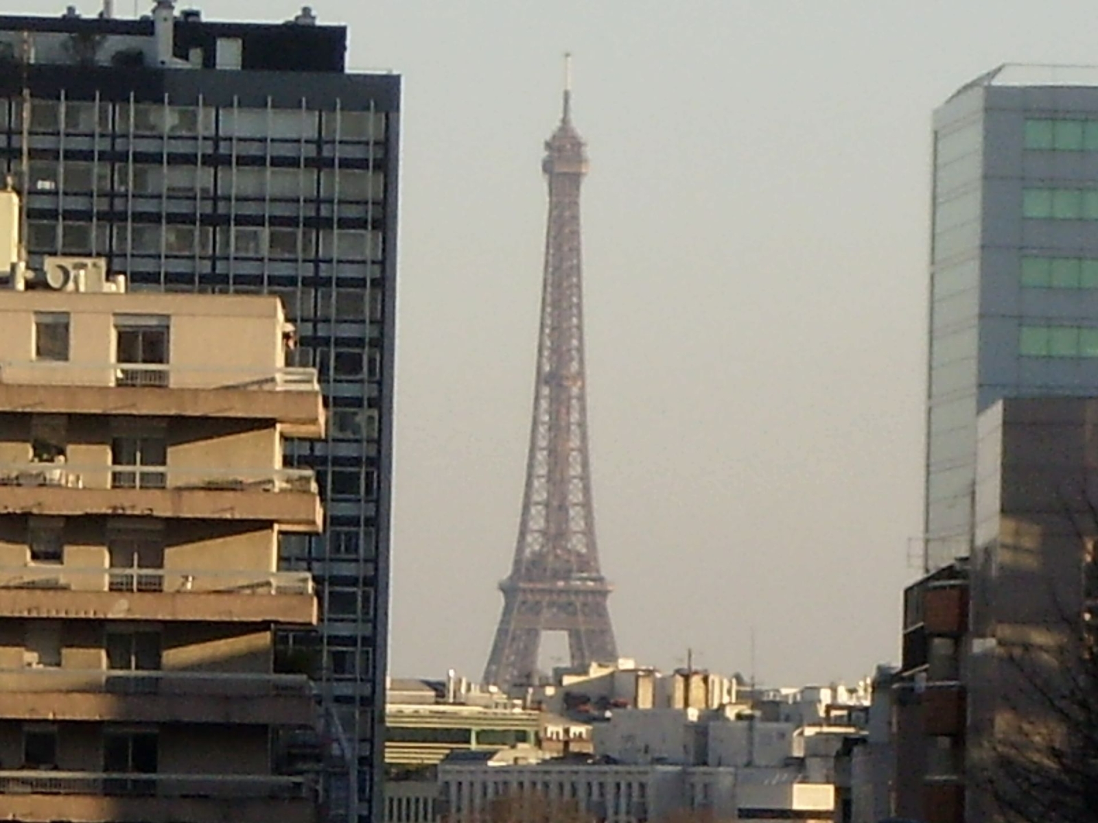 View from my street