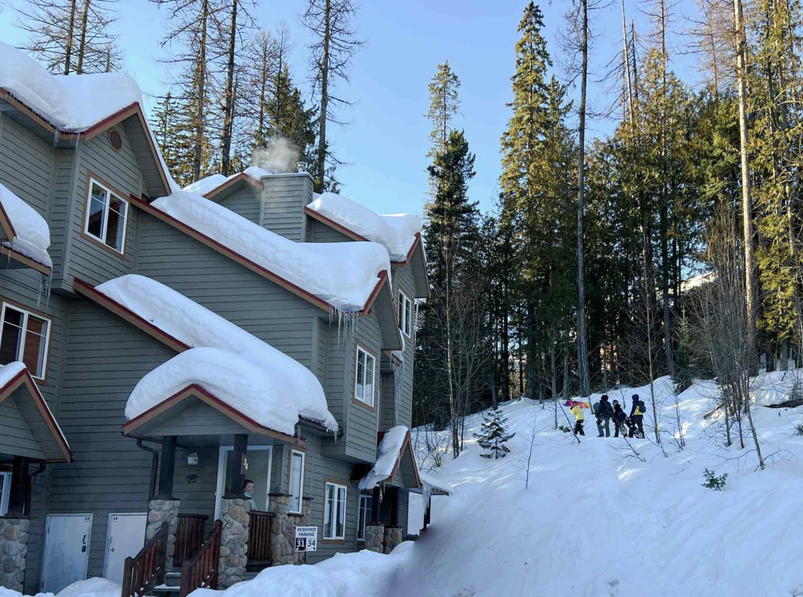 Cozy Mountain Retreat | | Ski, Golf, Bike, Hike & Explore