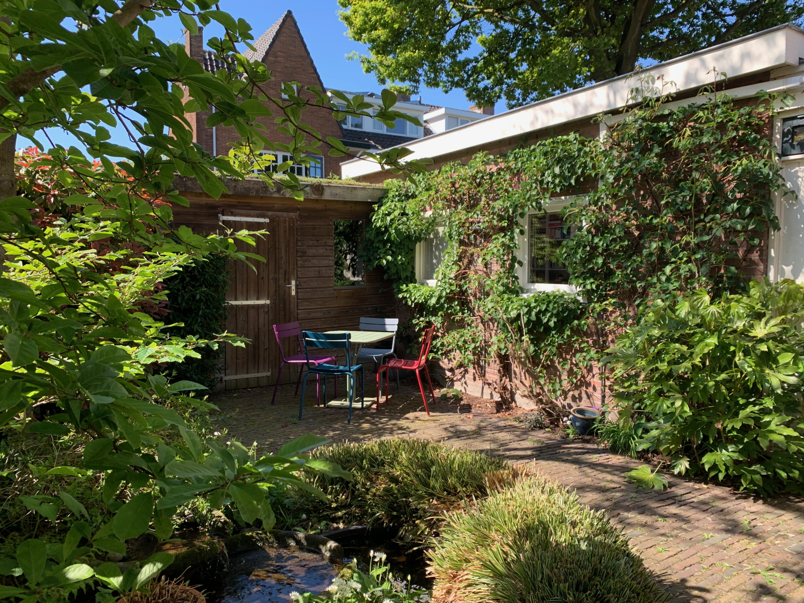 Back garden from porch