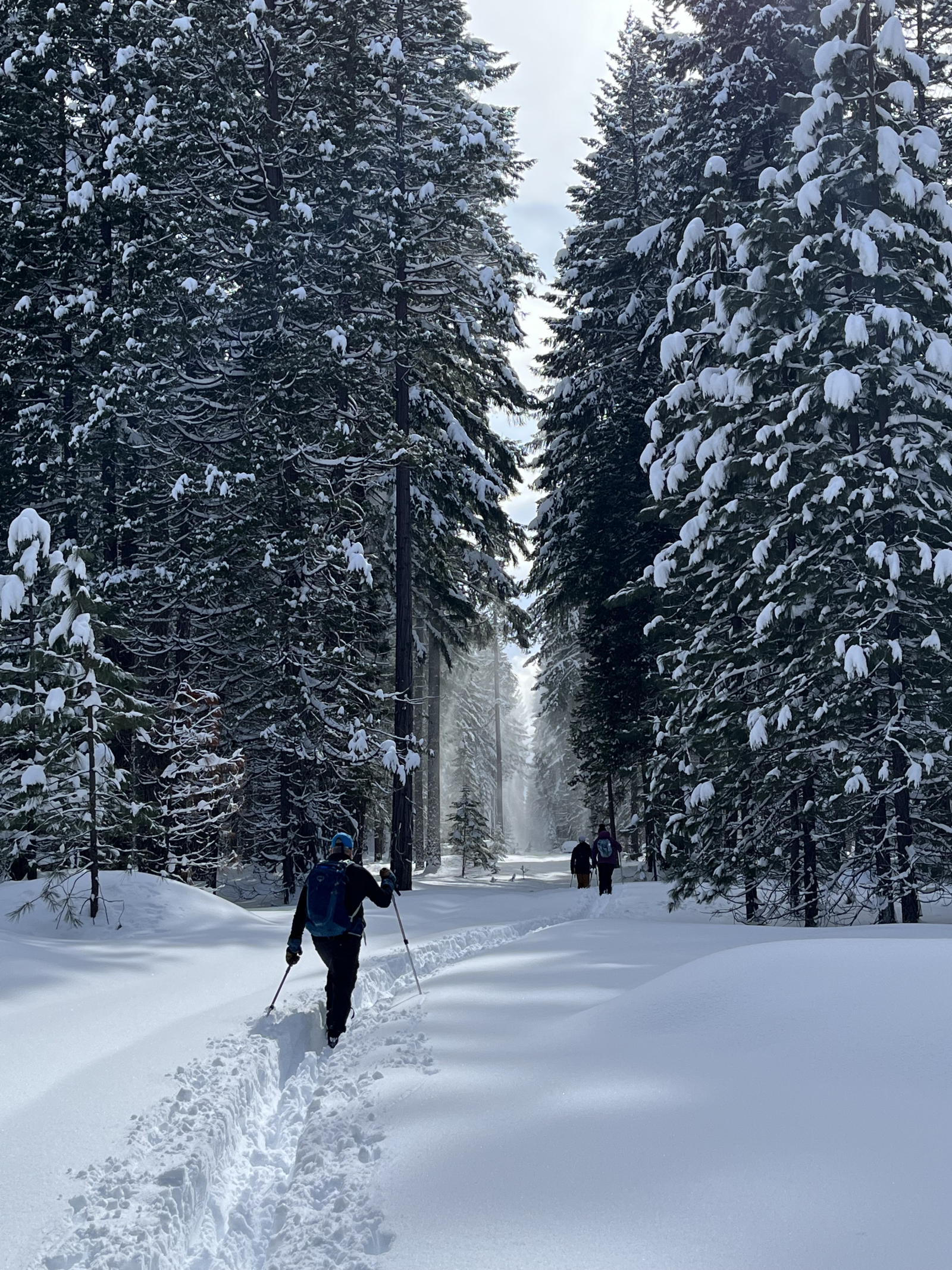Verschillende snowparks voor langlaufen en sneeuwschoenwandelen, rond Centraal OR.