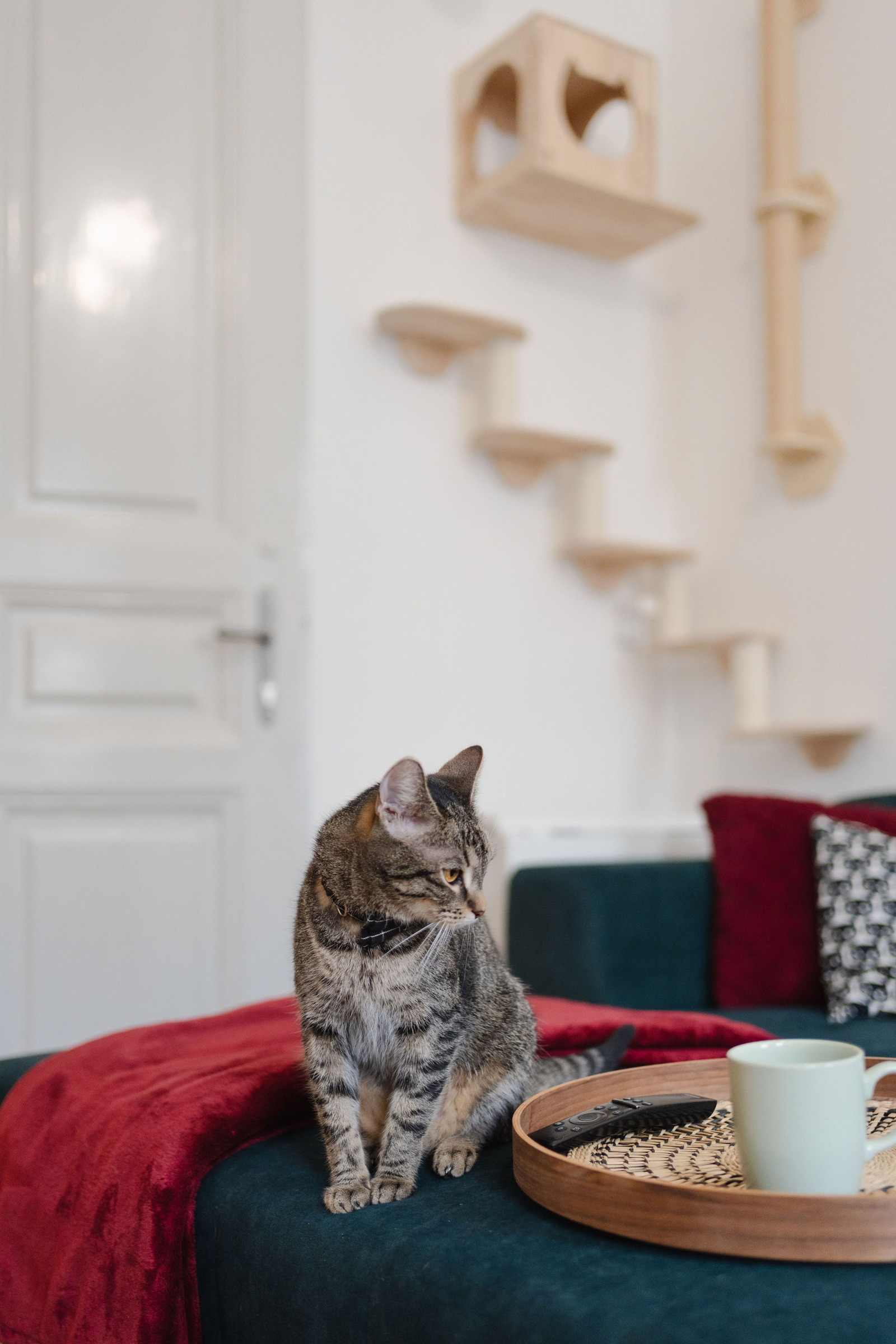 Downtown, Budapest - Centrally located with everything you want in Walking Distance!