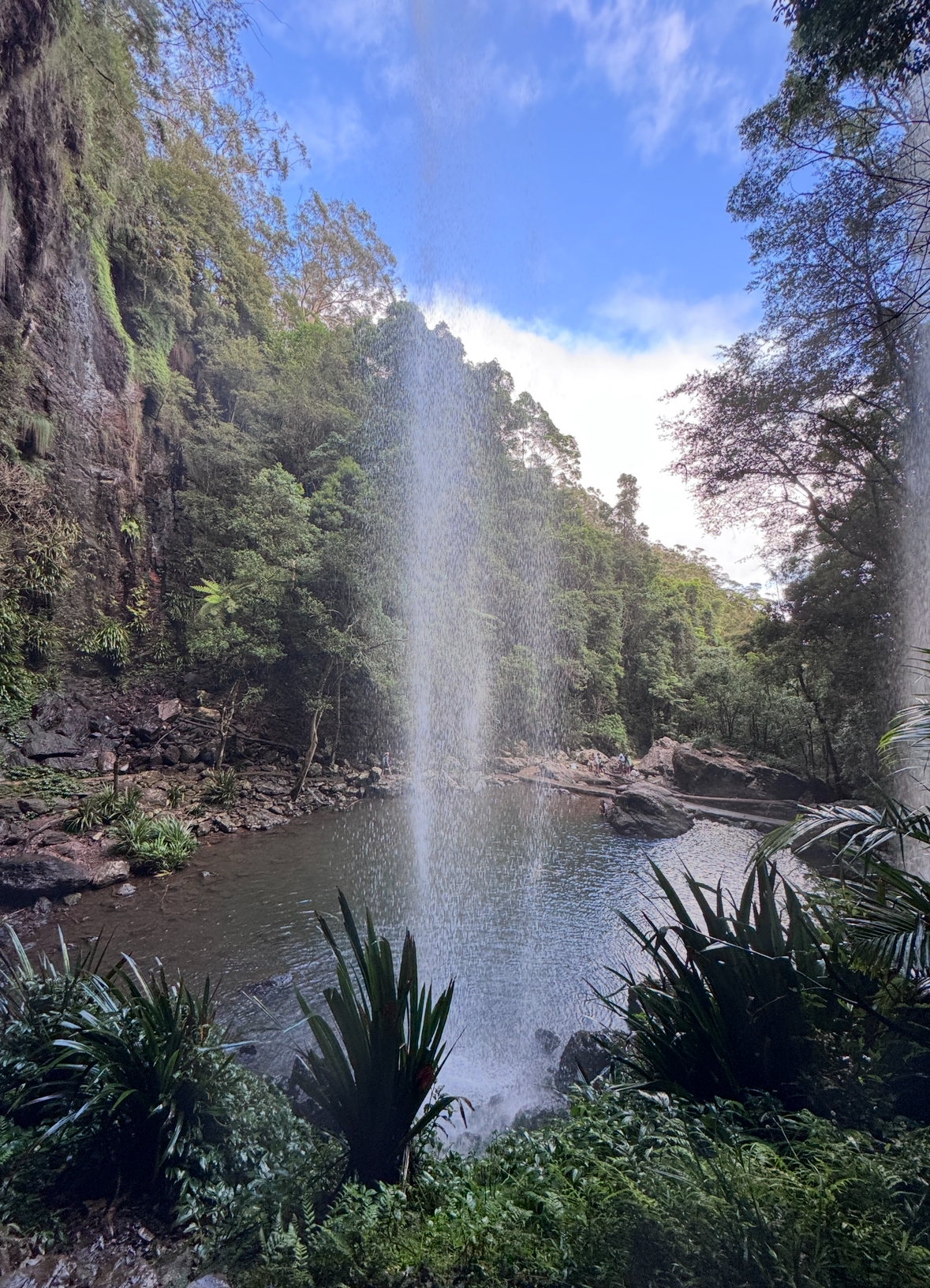 Just one of my favourite walks. Twin Falls - Springbrook
