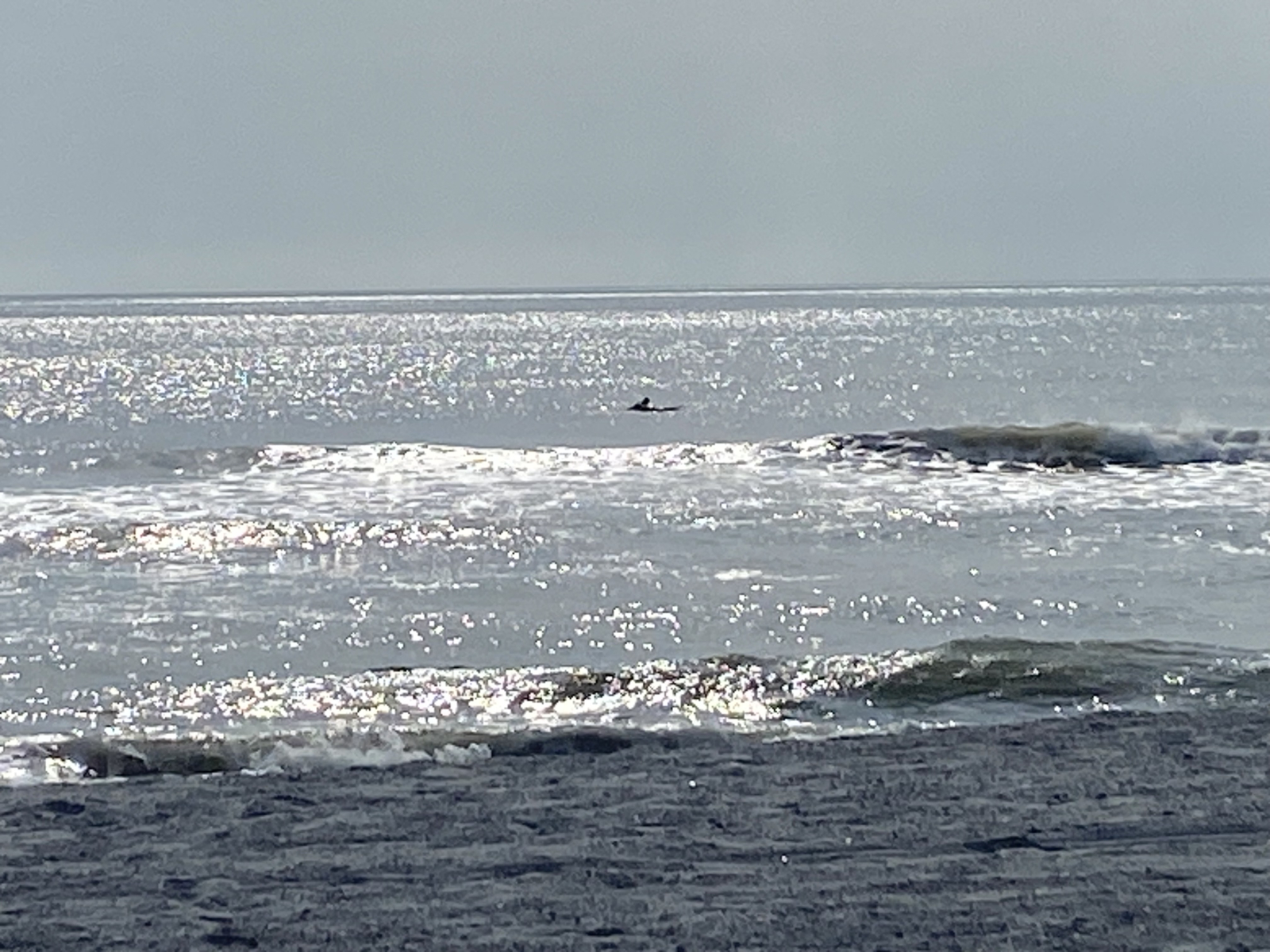 Anastasia State Park à 7 miles de la maison