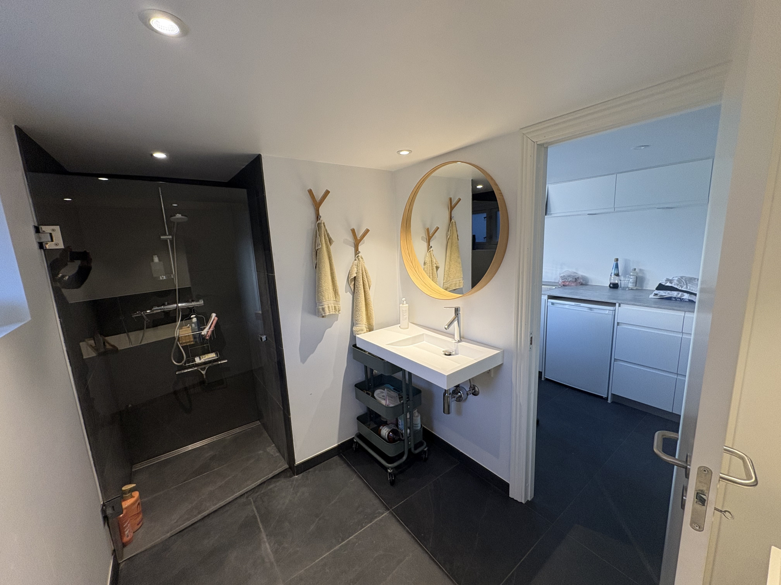 Basement: bathroom with shower and bathtub. Leads to utility room with washing machine, tumbler, extra fridge and freezer.